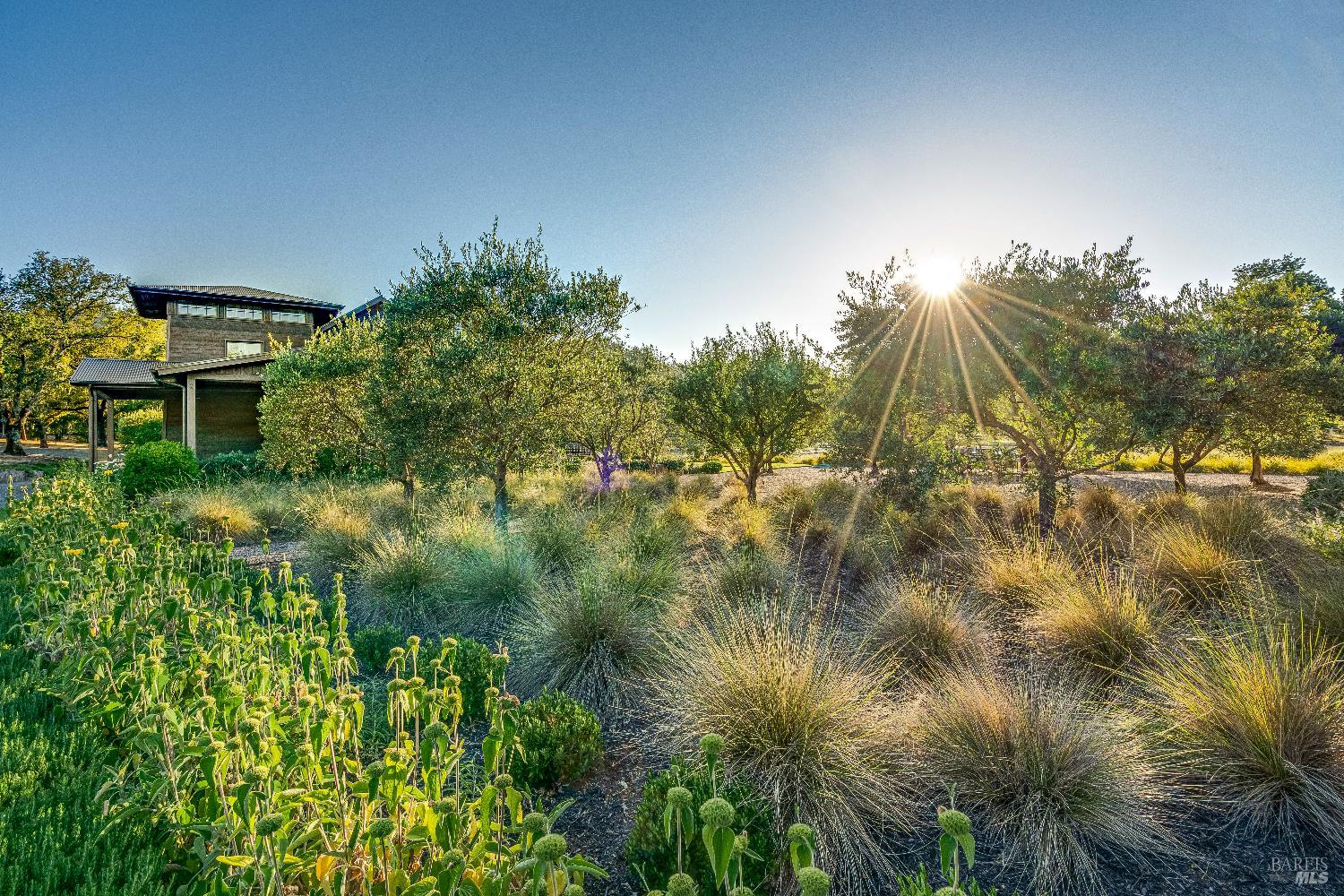 3533 State Highway 128