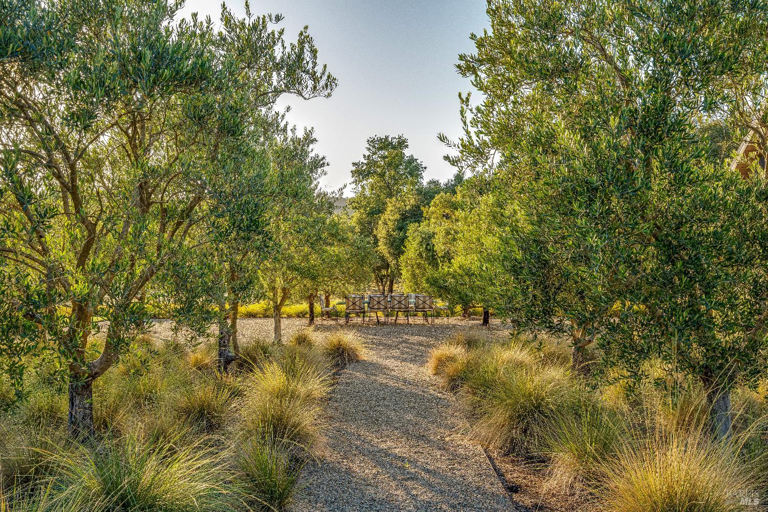 3533 State Highway 128