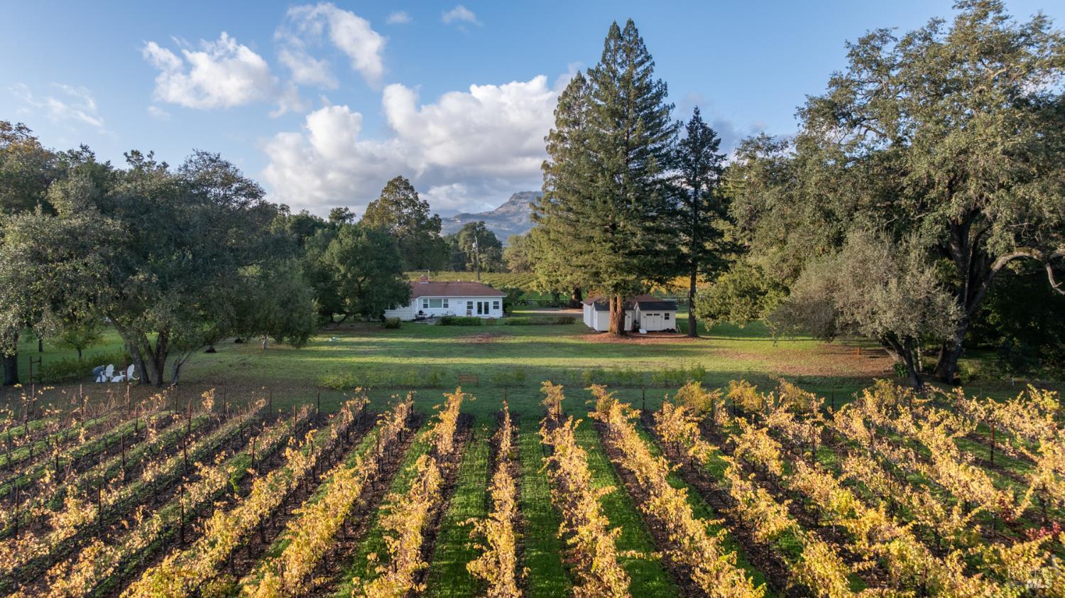 1015 Bale Lane