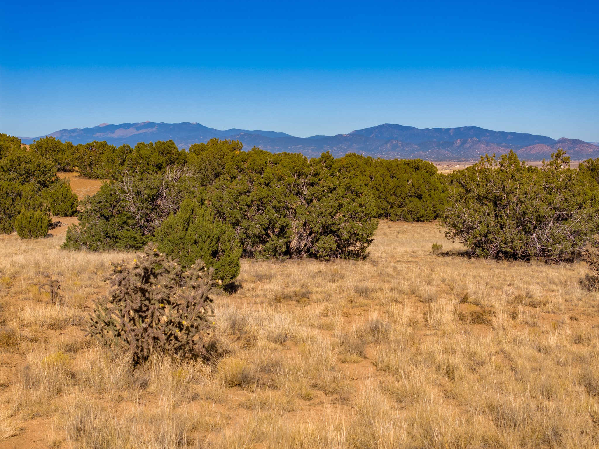 5 Black Canyon