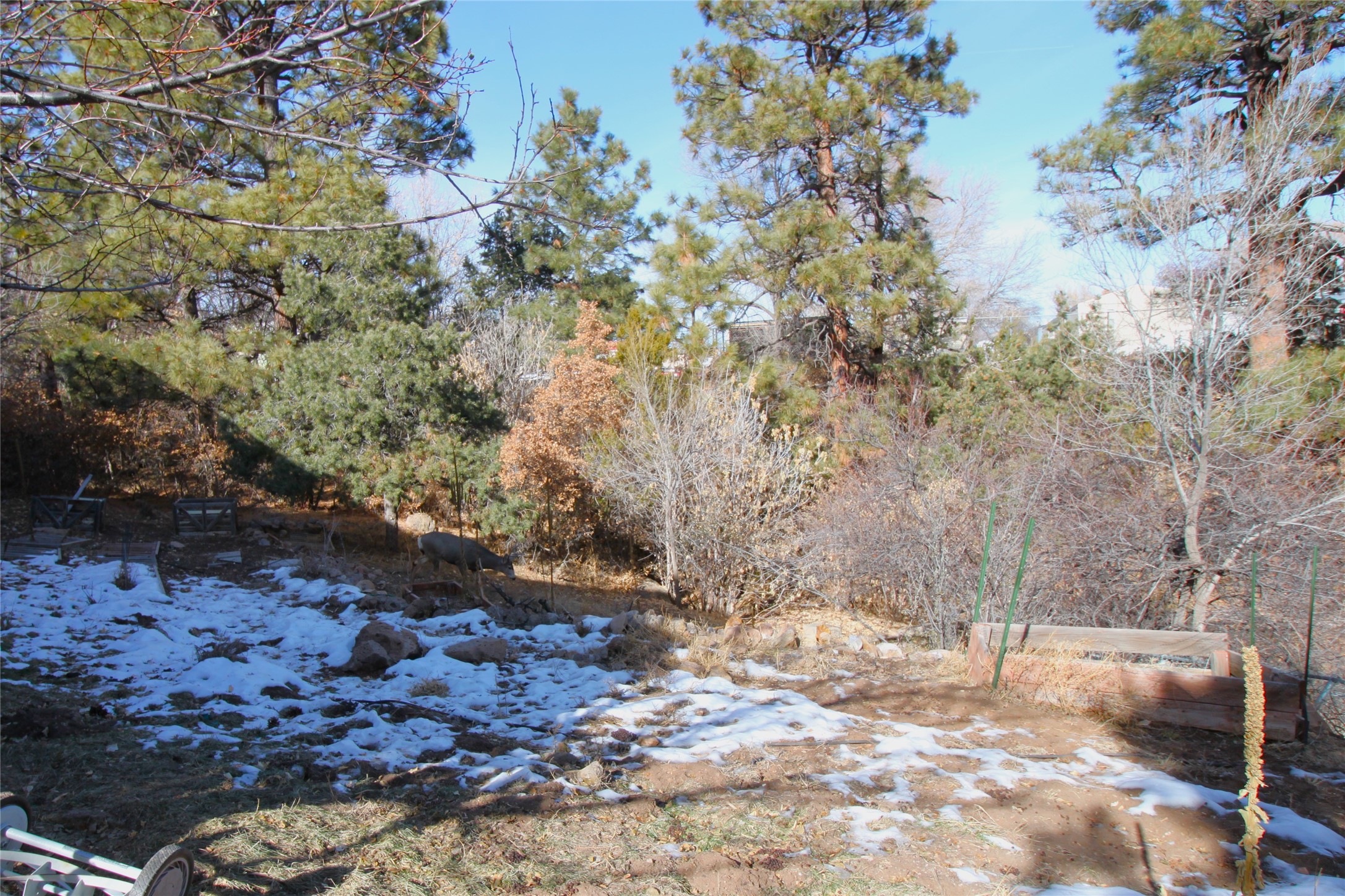 908 Capulin Road