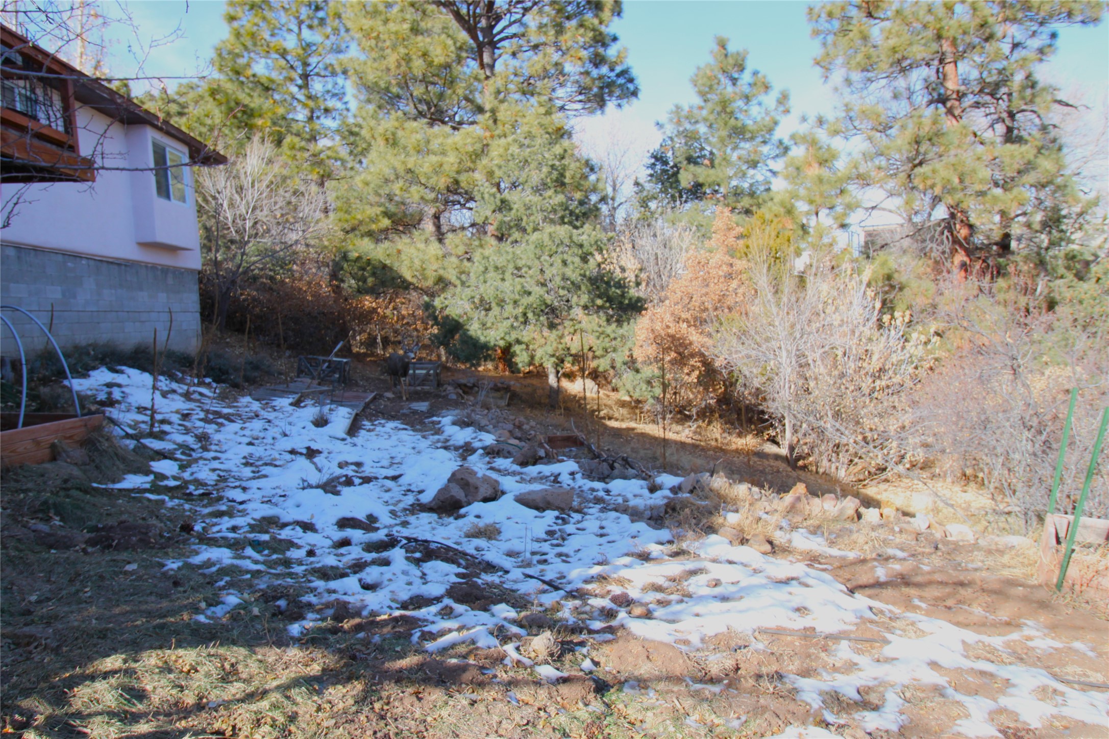 908 Capulin Road