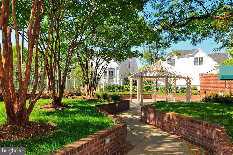 7500 Woodmont Ave #S817