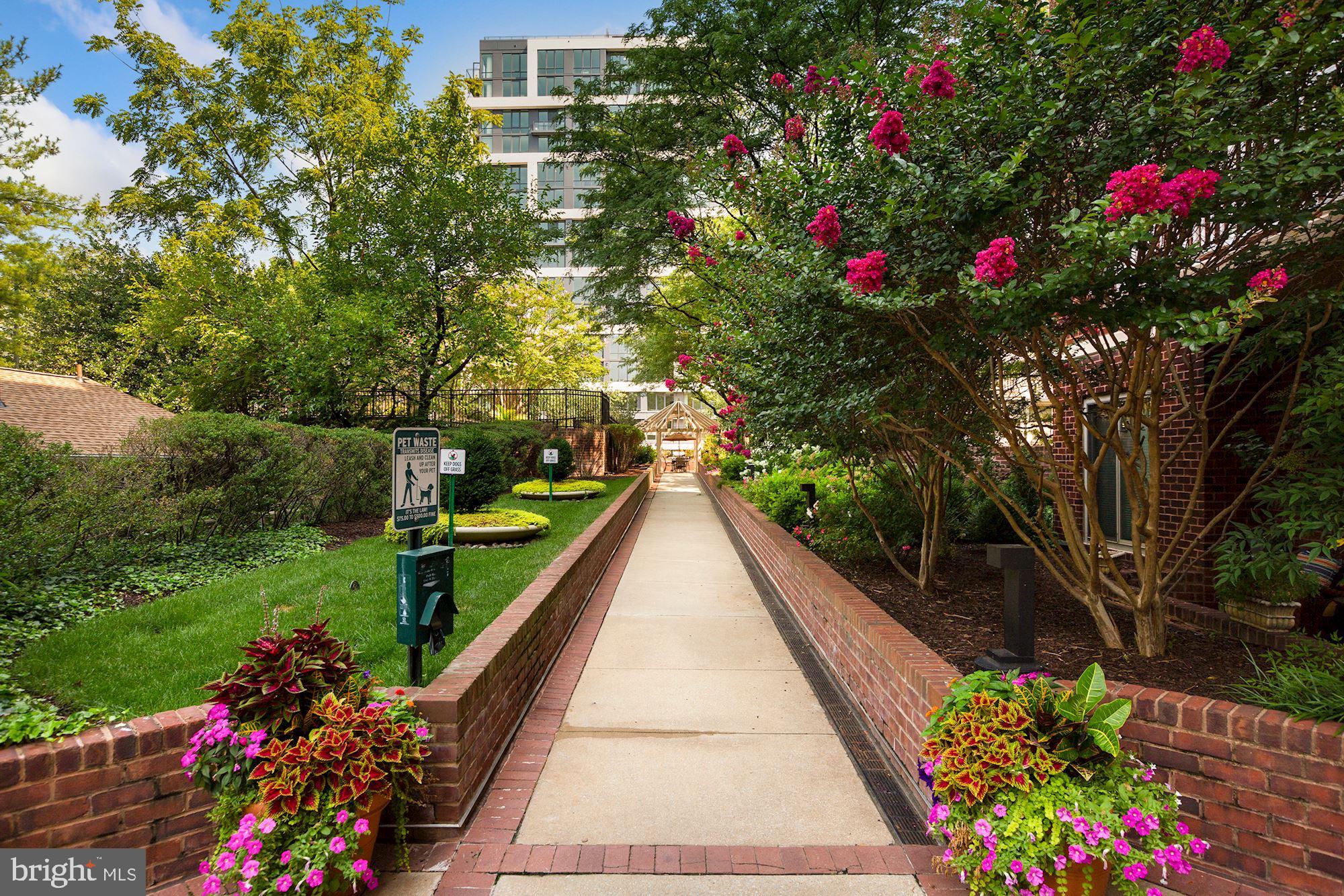 7500 Woodmont Ave #S922