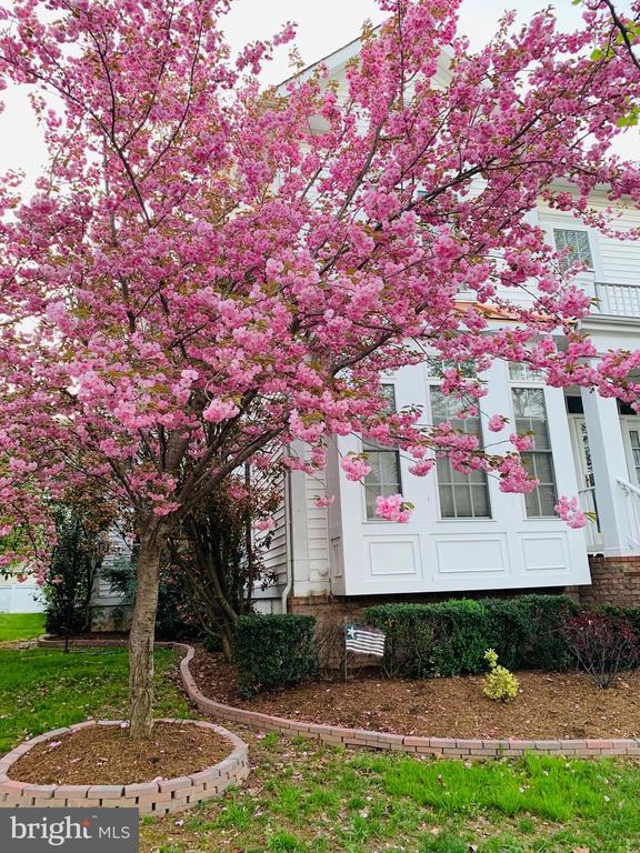217 WATKINS CIRCLE