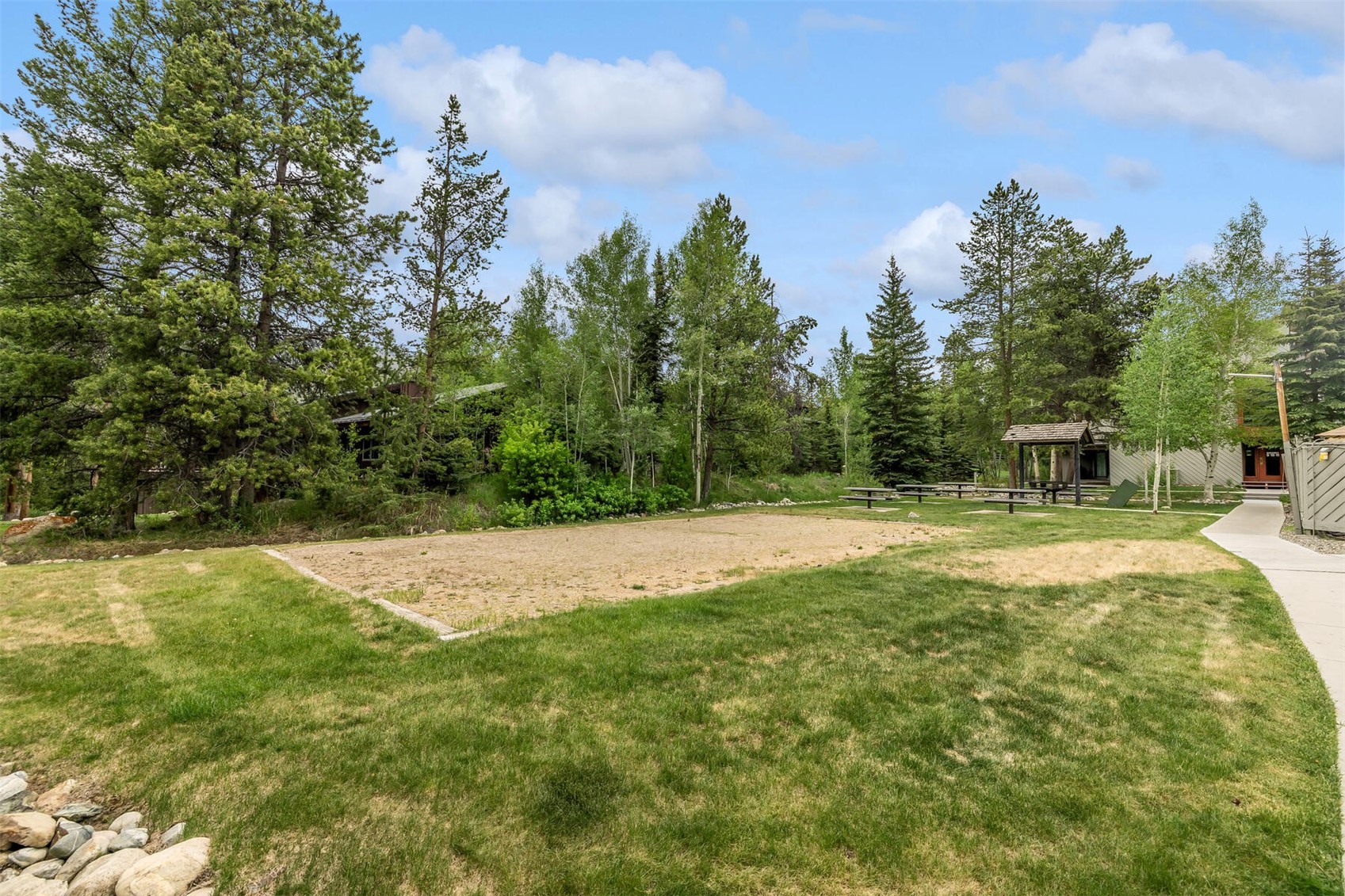 100 Wild Irishman ROAD 1103