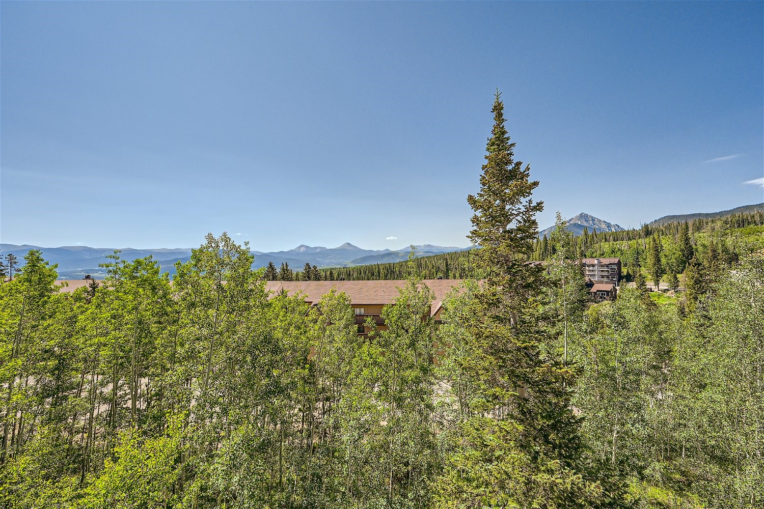 91099 Ryan Gulch ROAD B4