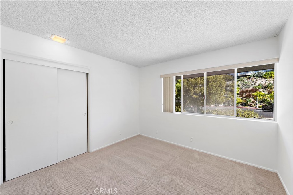 Empty bedroom with beige carpet, a sliding-door closet, and a wide window overlooking trees and landscaping.