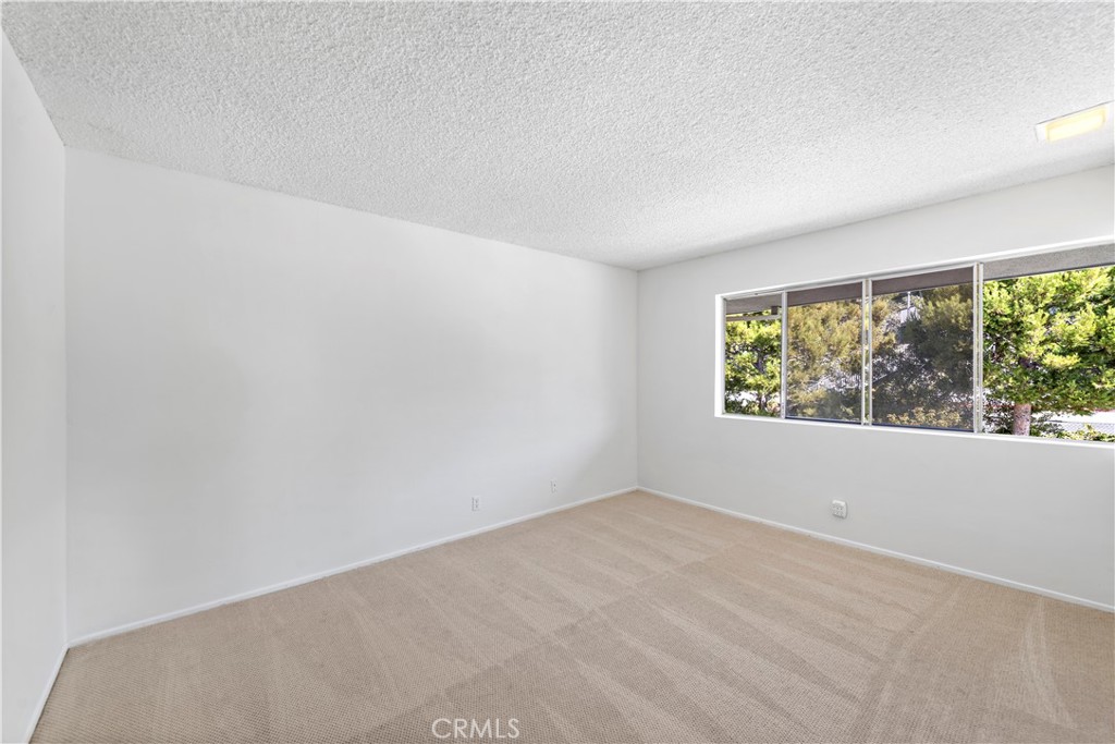 Vacant carpeted room with white walls and a wide window overlooking trees.