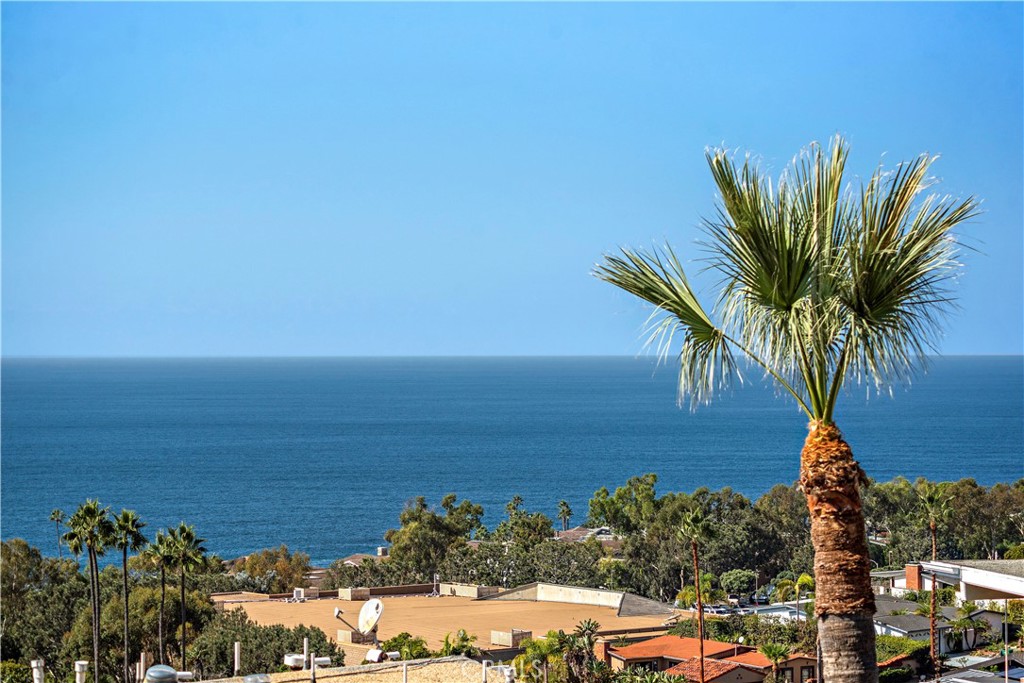 Ocean view with a large foreground palm tree and coastal rooftops below.