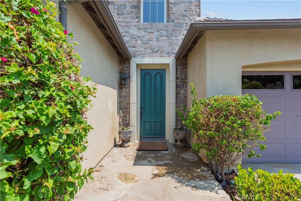 11 Flora Springs