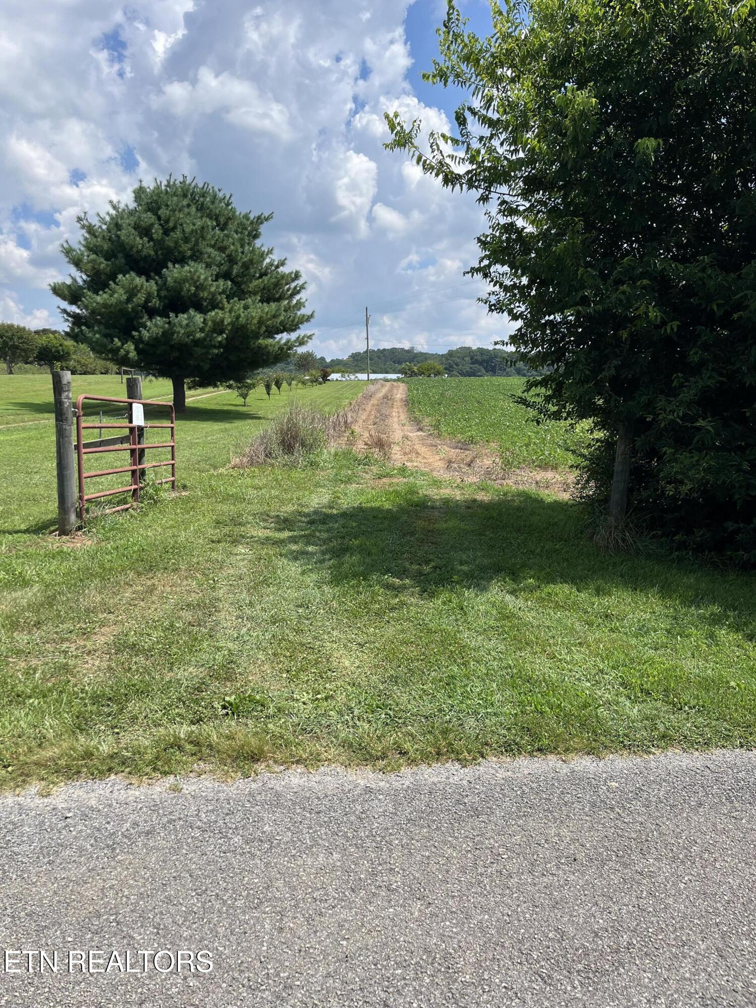 Blackberry Lane