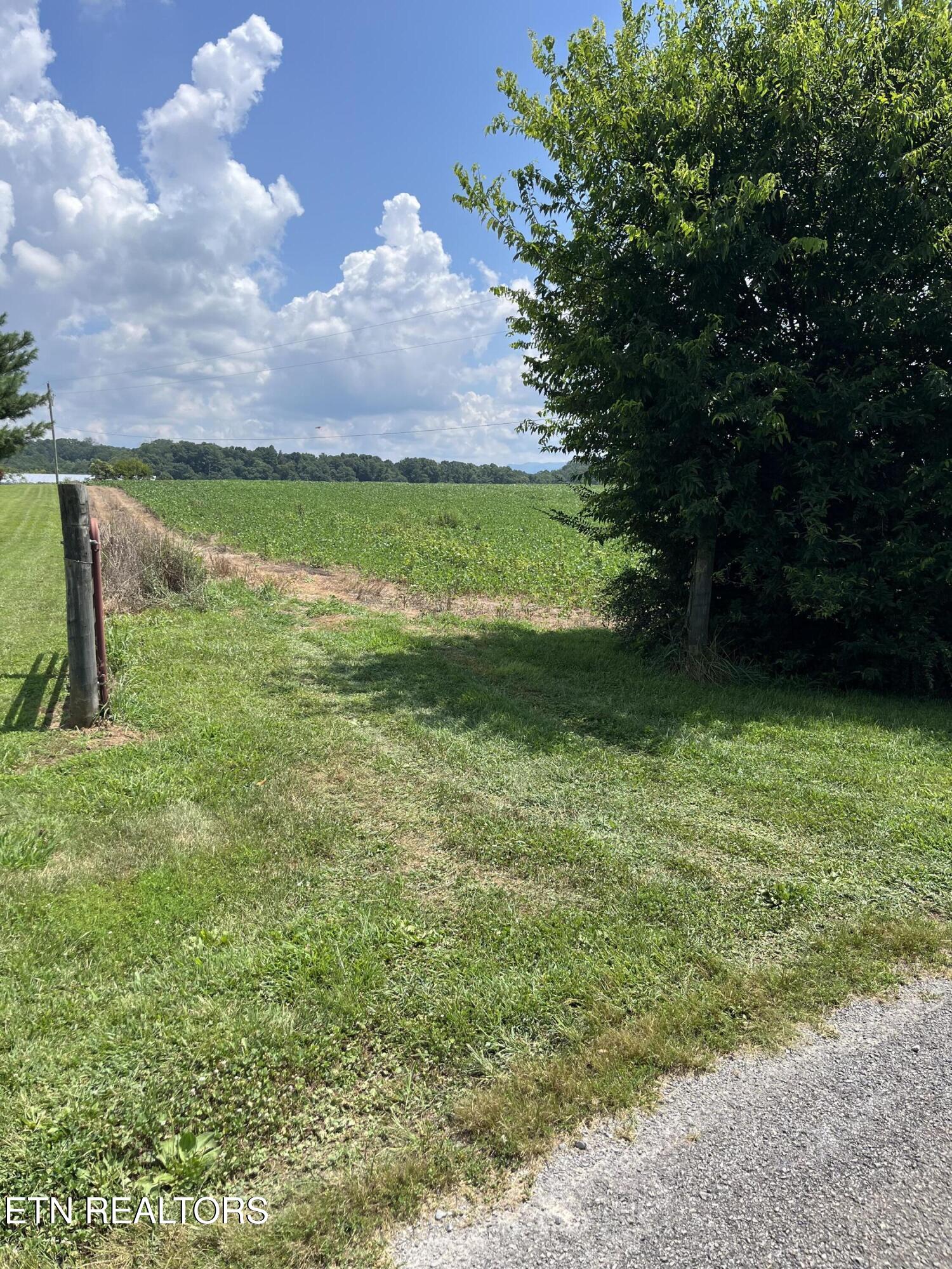 Blackberry Lane
