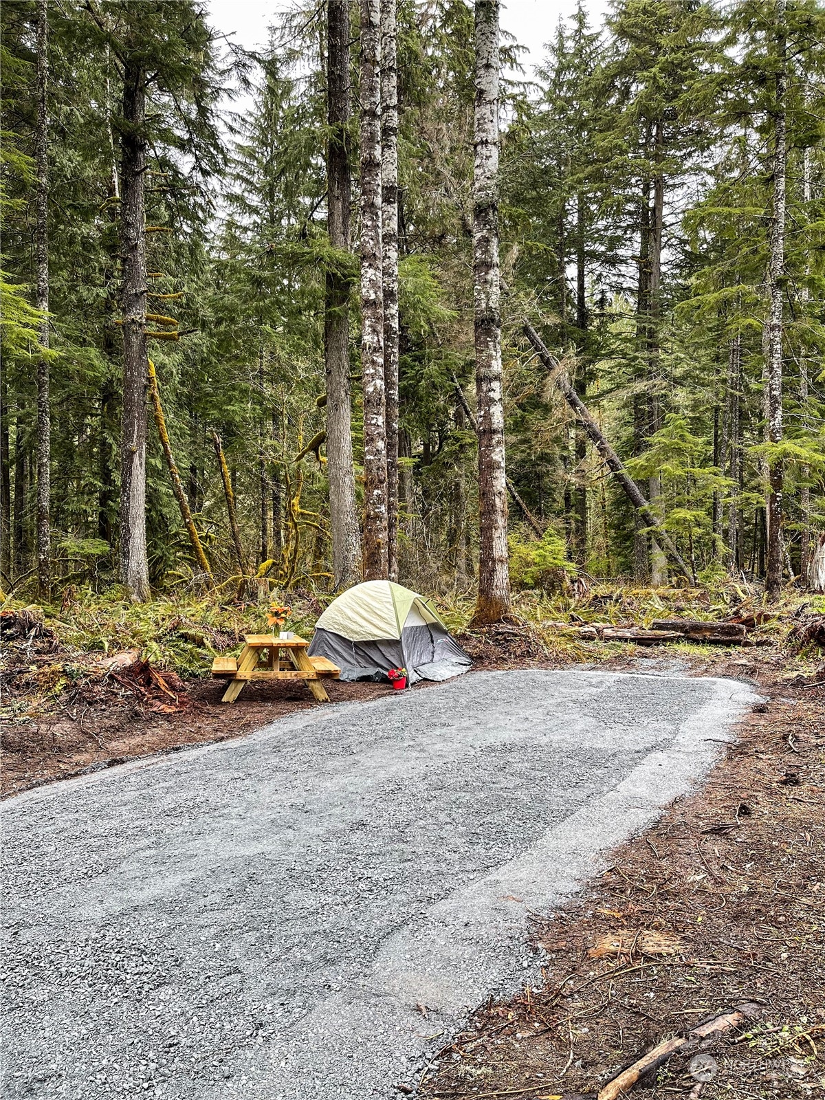 38307 564th Street Ct E