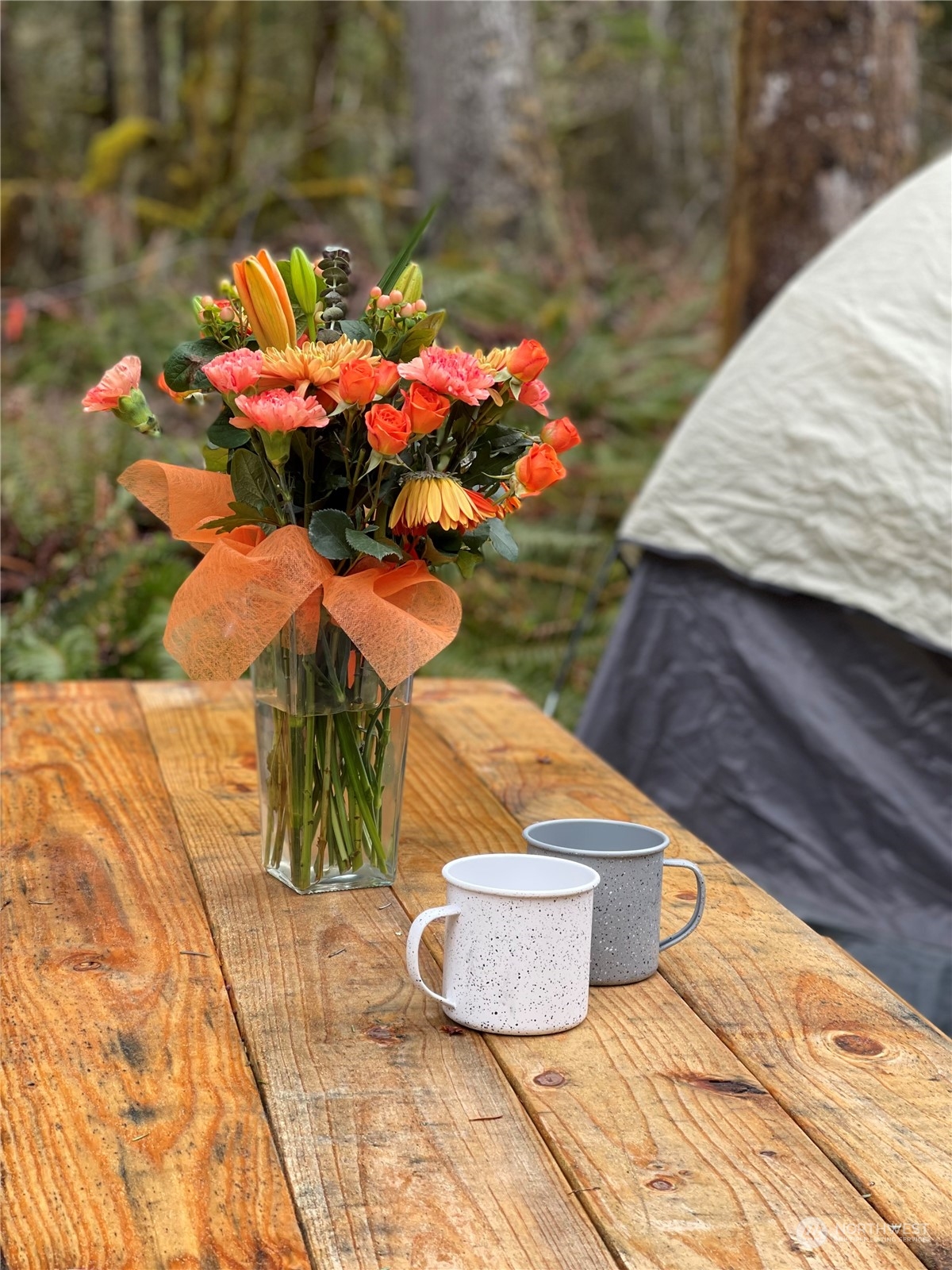 38307 564th Street Ct E