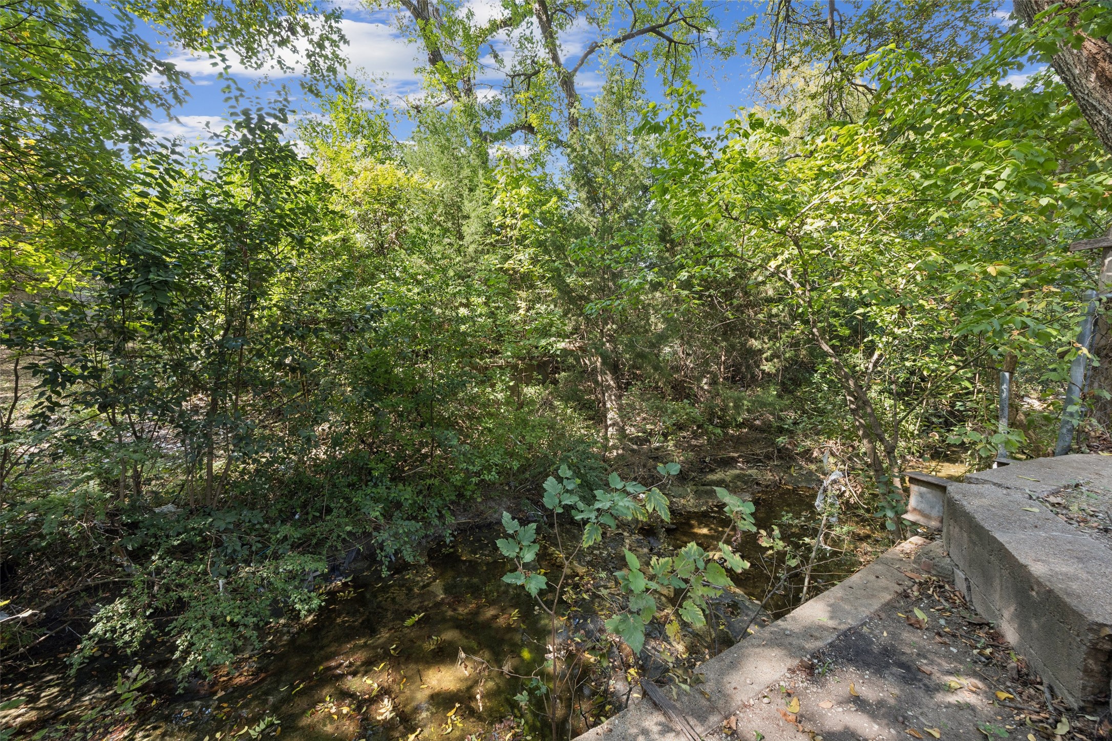 2039 Elmwood Boulevard