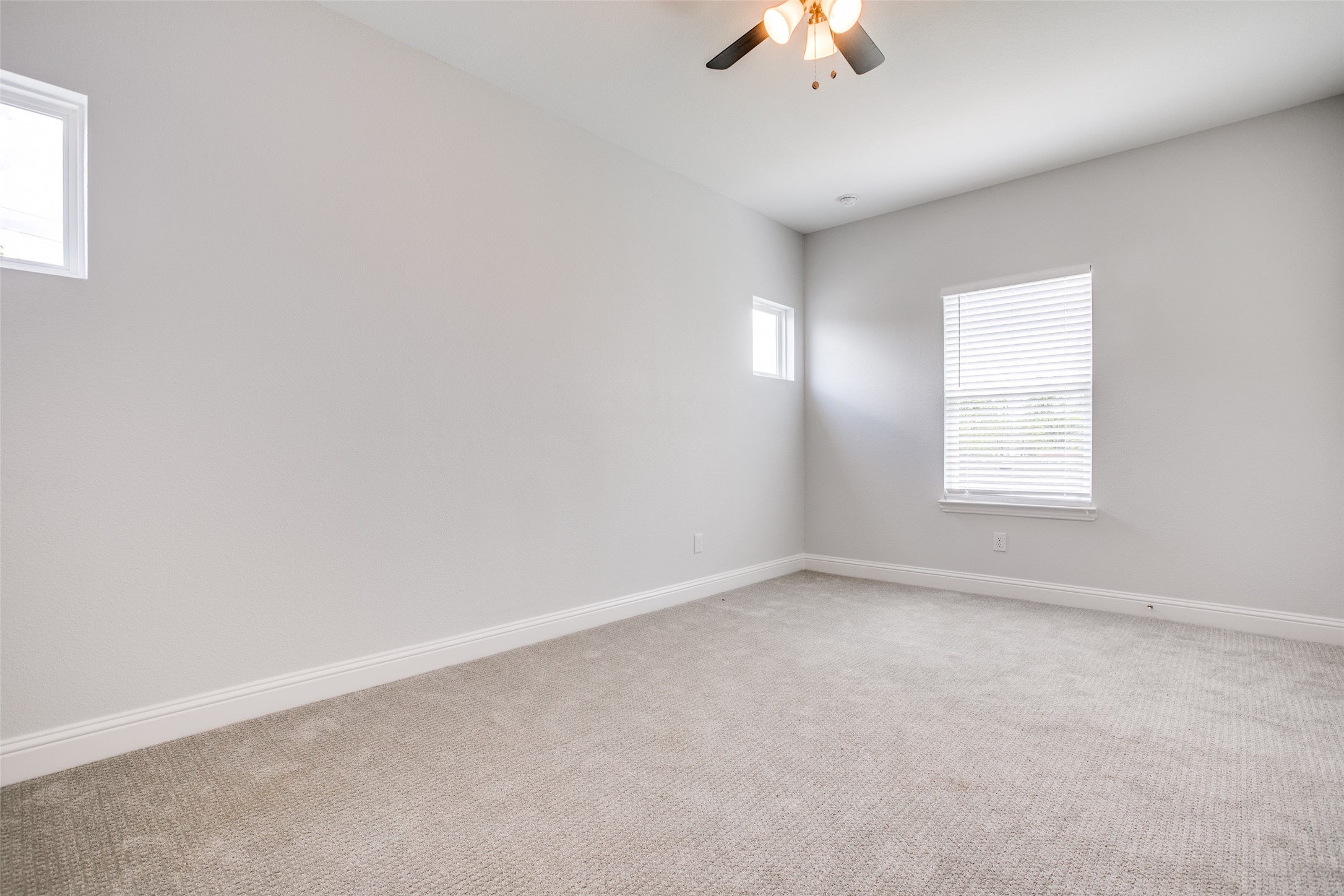 3105 Chihuahua Avenue