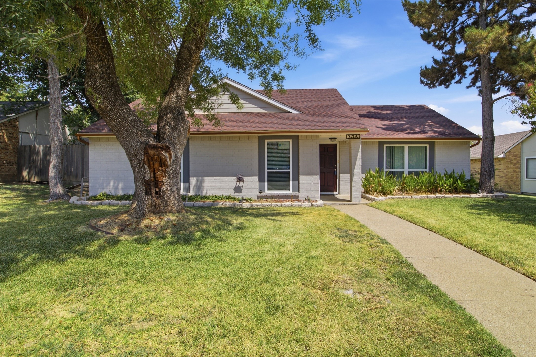 3709 Yaupon Drive