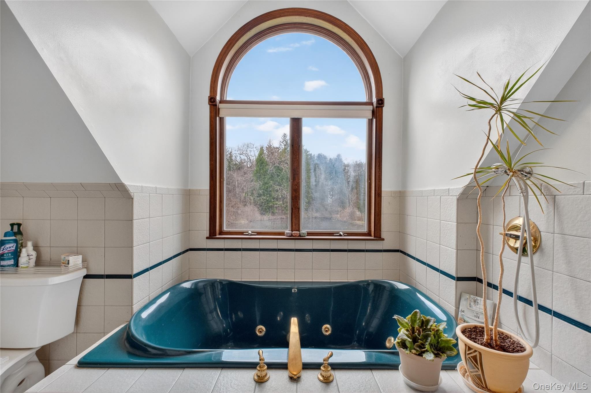 256 Overlook Road