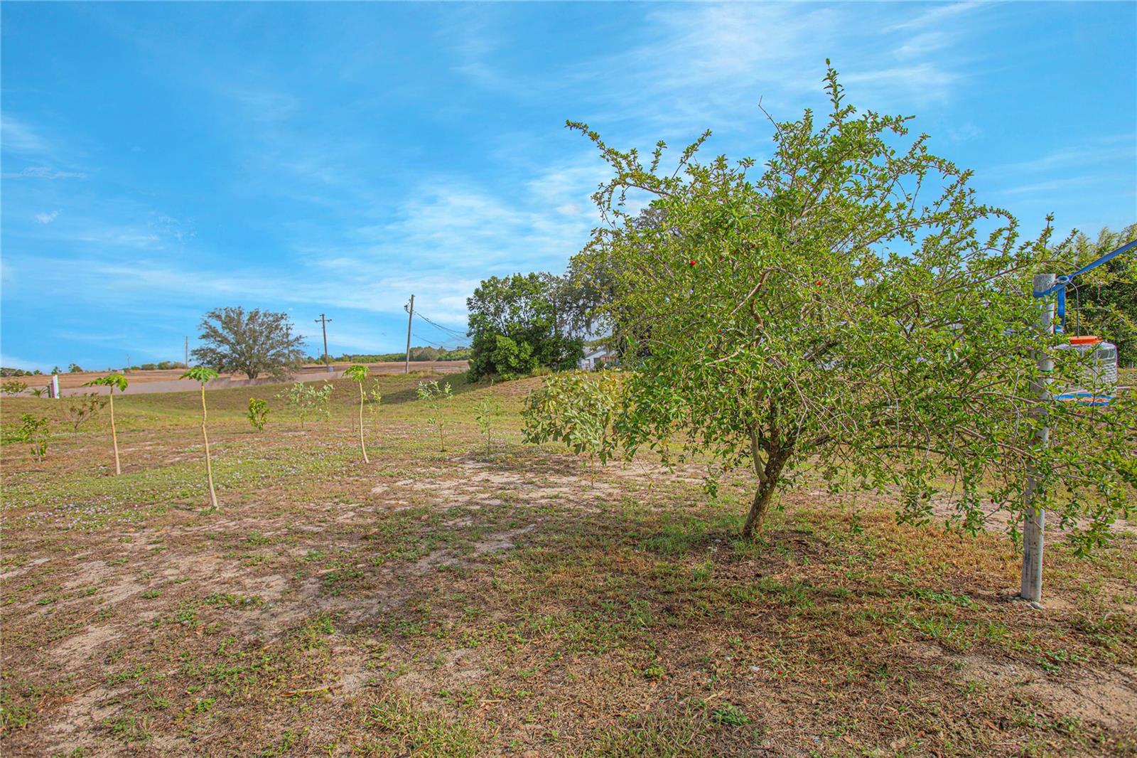 2649 SUNSET CIR