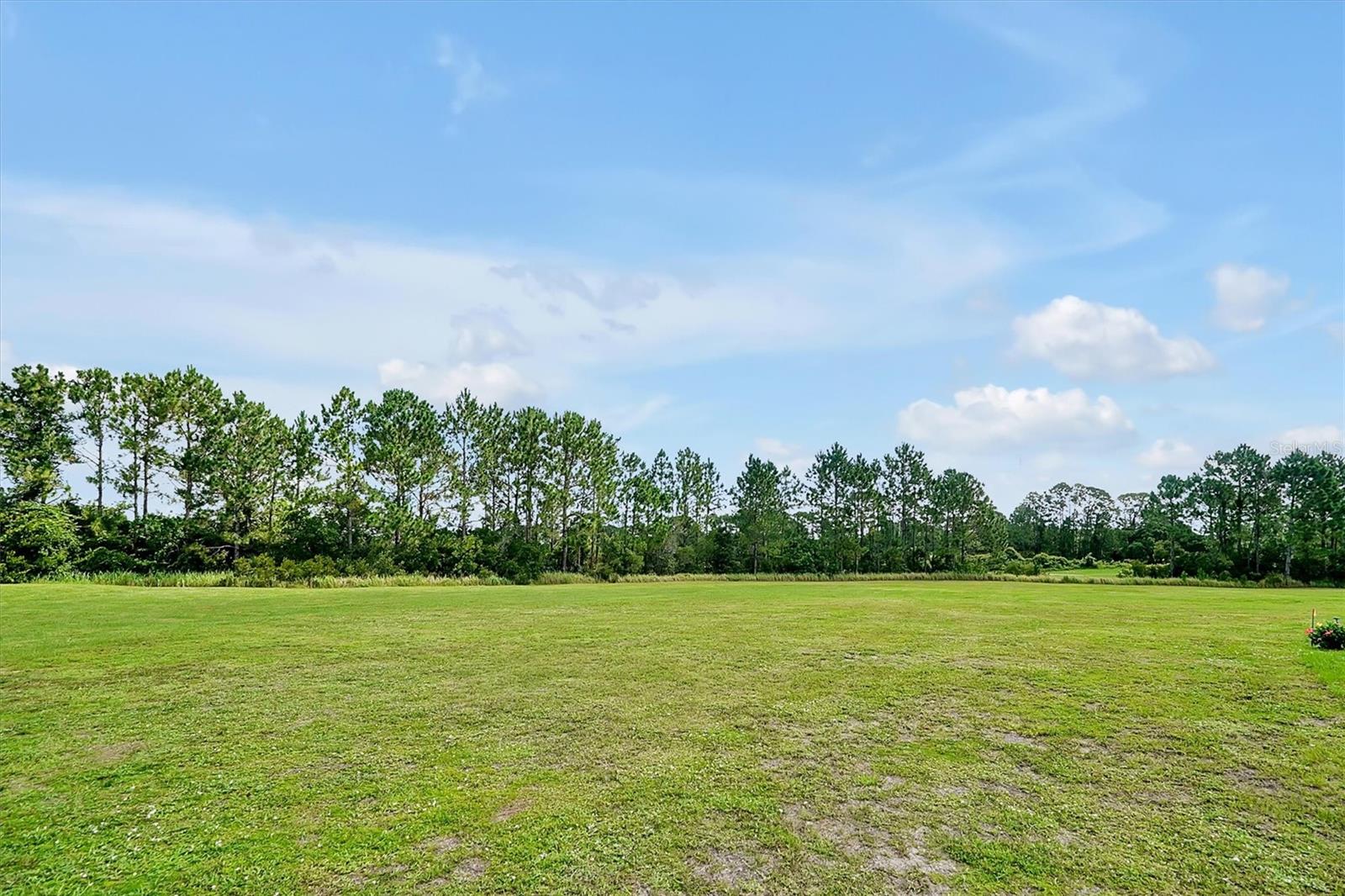 3573 SANDHILL CRANE CIR
