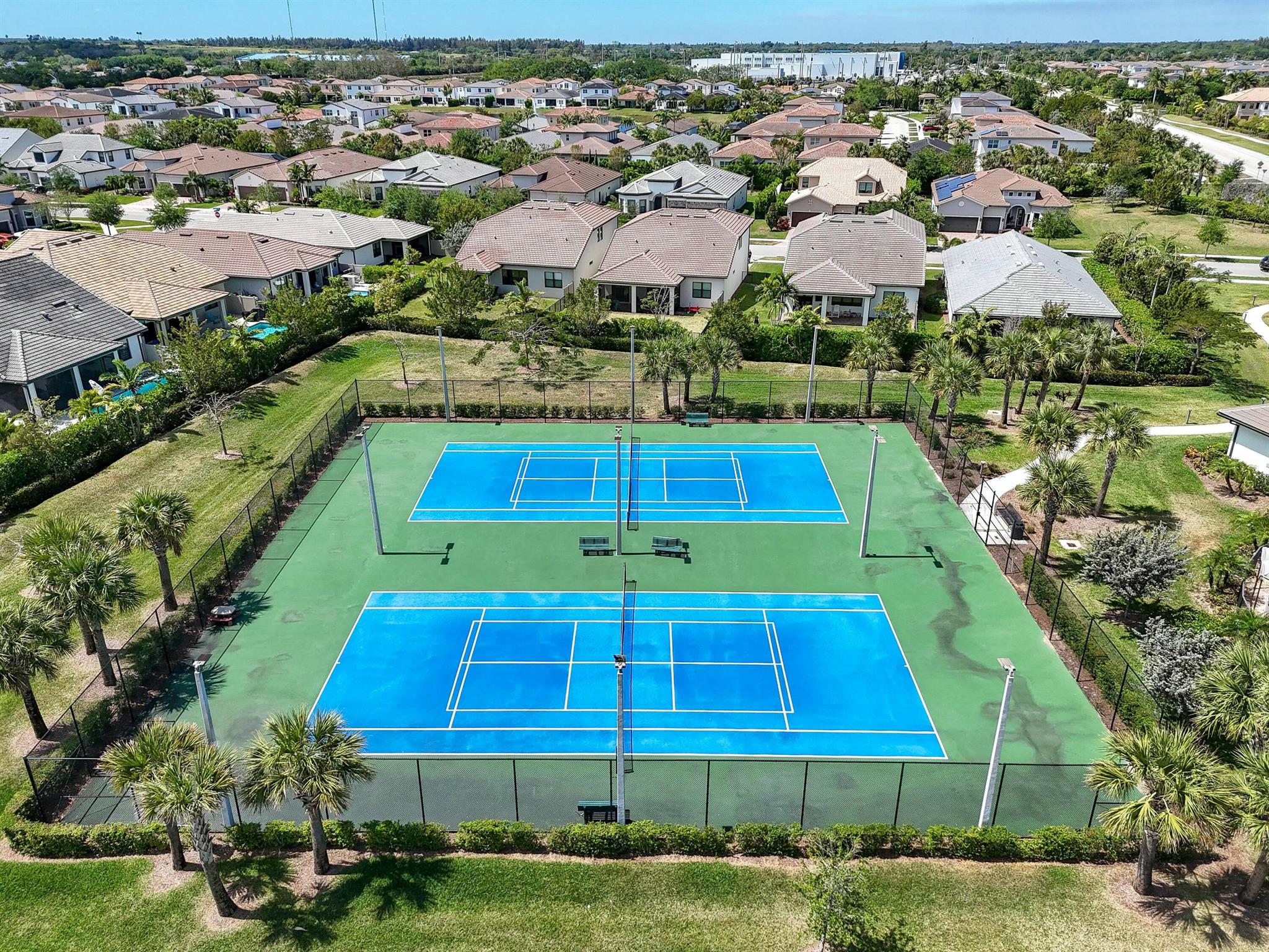 8356 Pedigree Circle