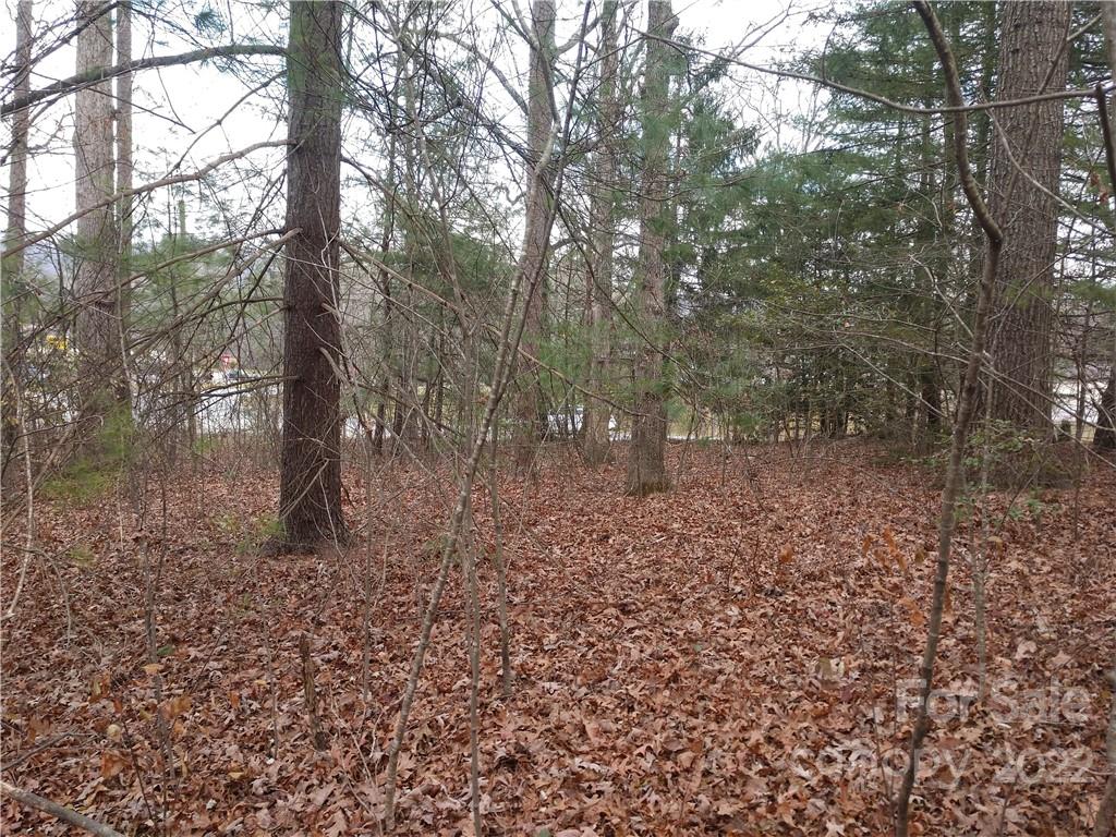 #3 Rural Retreat Drive N Unit: #3