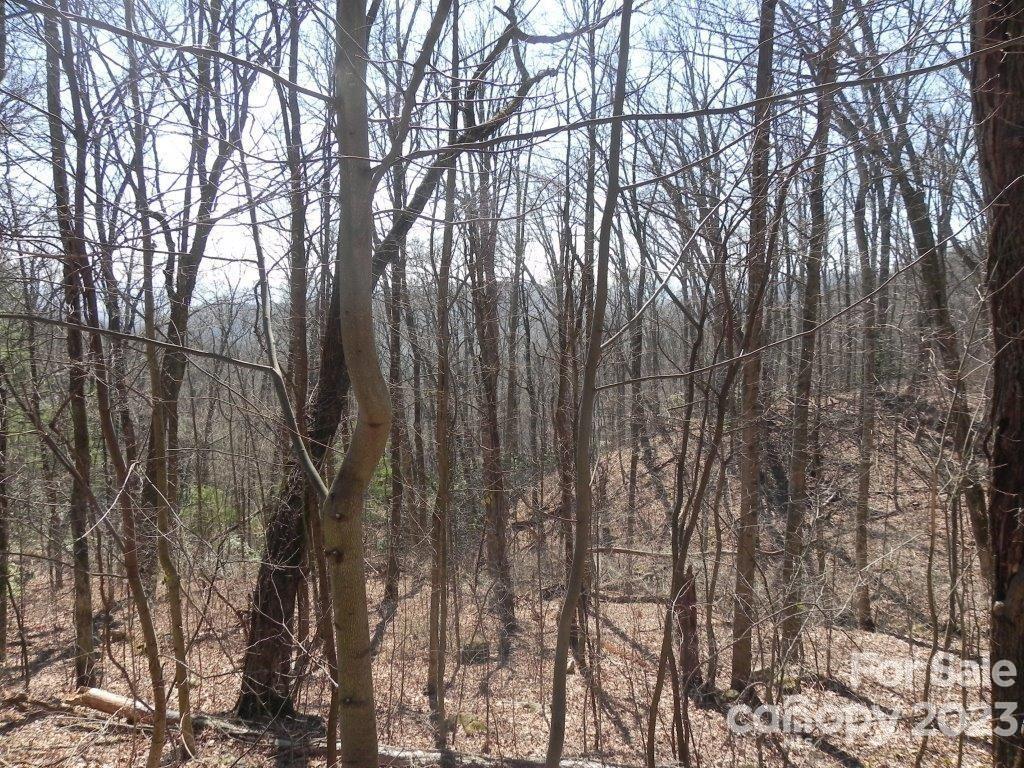 9999 DJ Drive Unit: 323