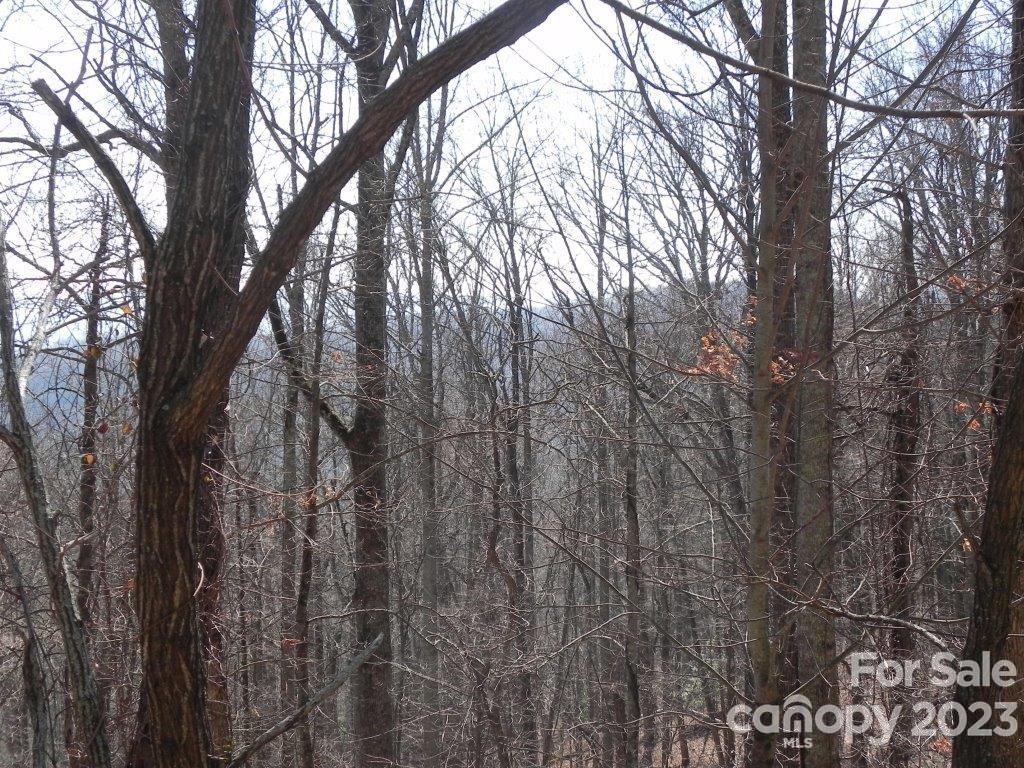 9999 DJ Drive Unit: 323