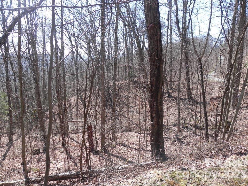 9999 DJ Drive Unit: 323