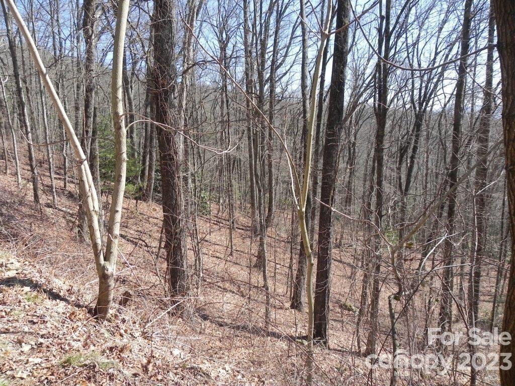 9999 DJ Drive Unit: 323