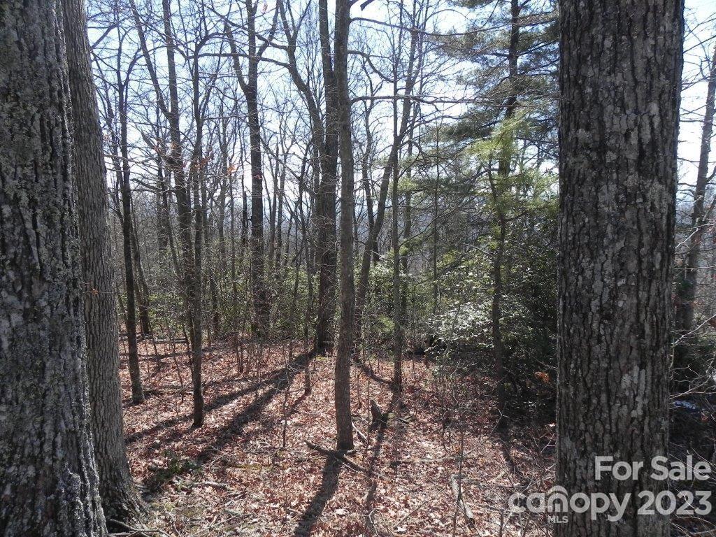 9999 DJ Drive Unit: 323