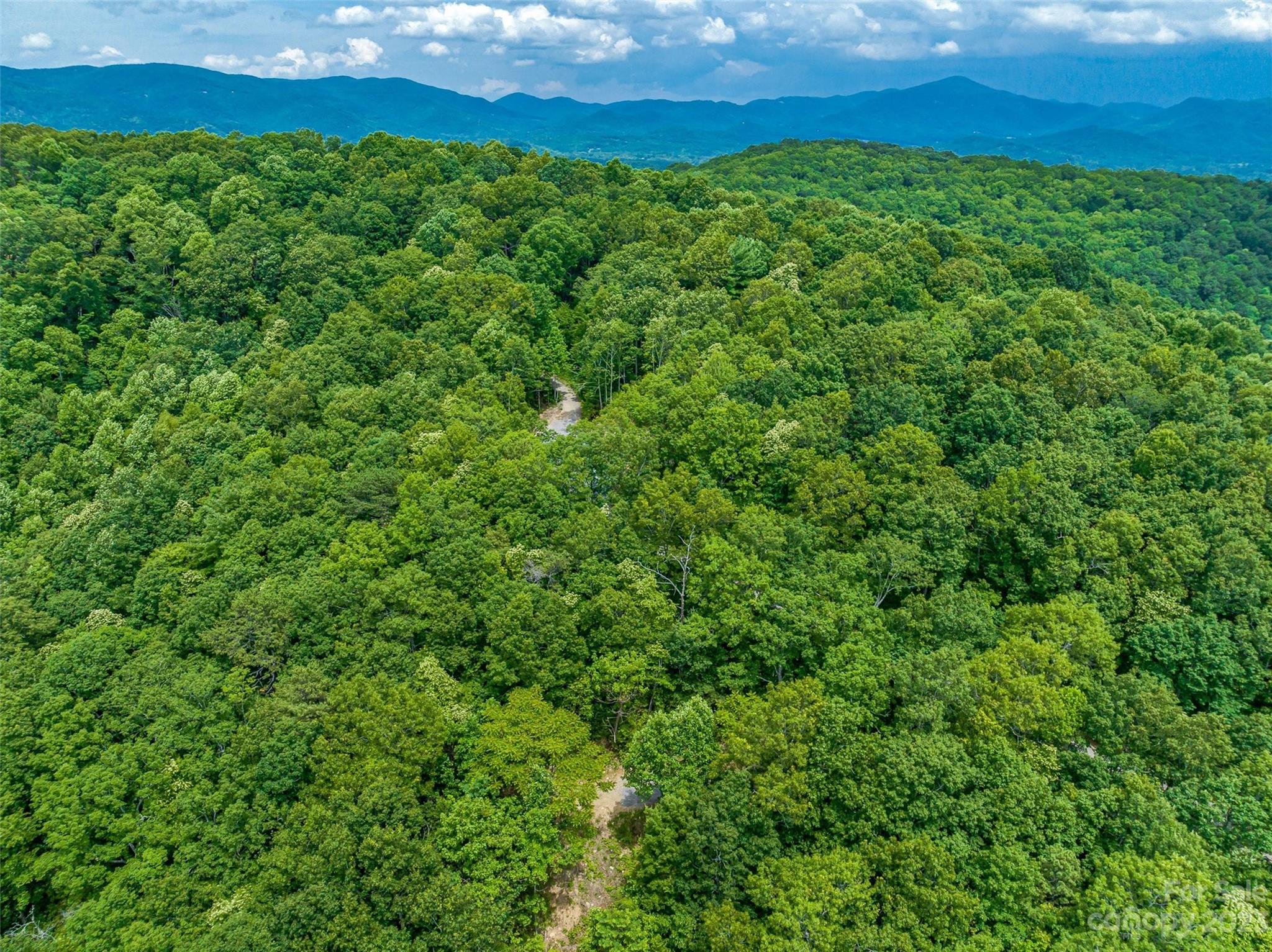 9999-2 Merrills Ridge Road Unit: 2