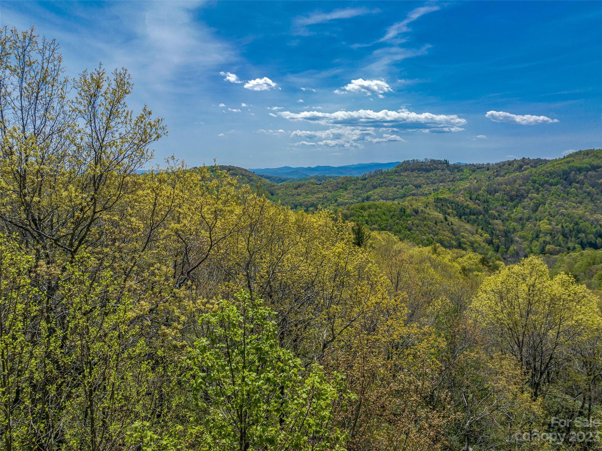 9999-2 Merrills Ridge Road Unit: 2