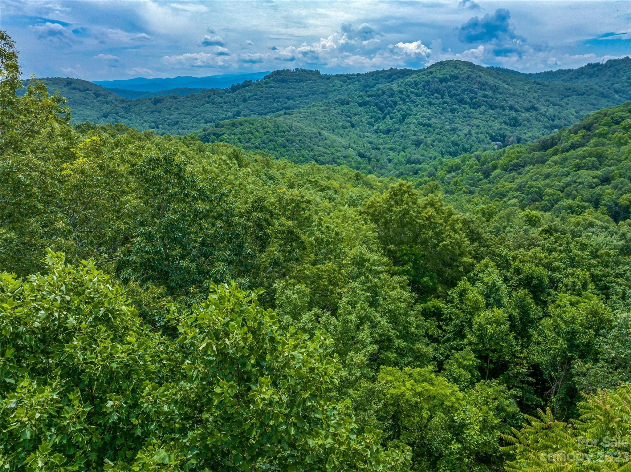 9999-2 Merrills Ridge Road Unit: 2