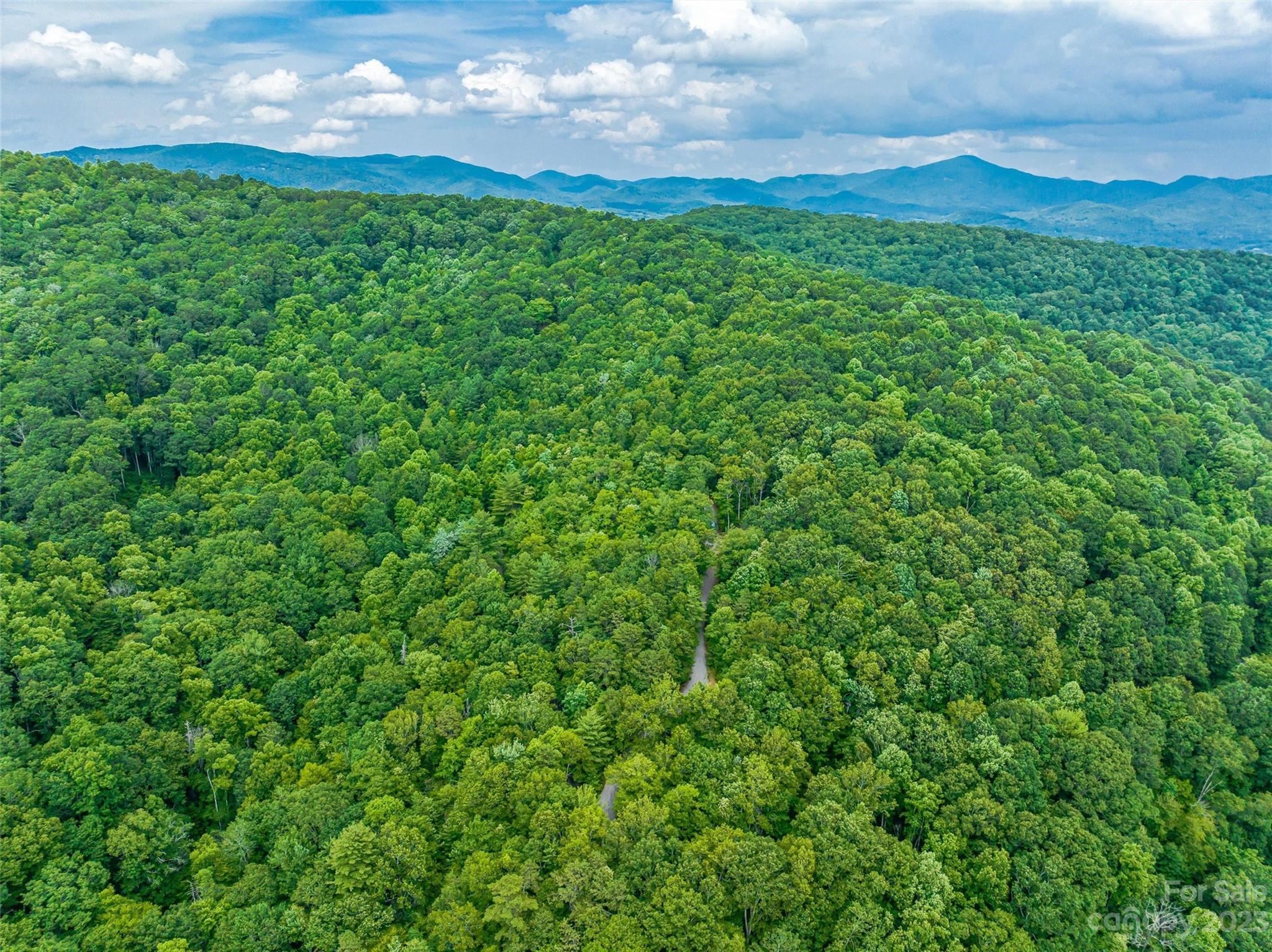 9999-2 Merrills Ridge Road Unit: 2