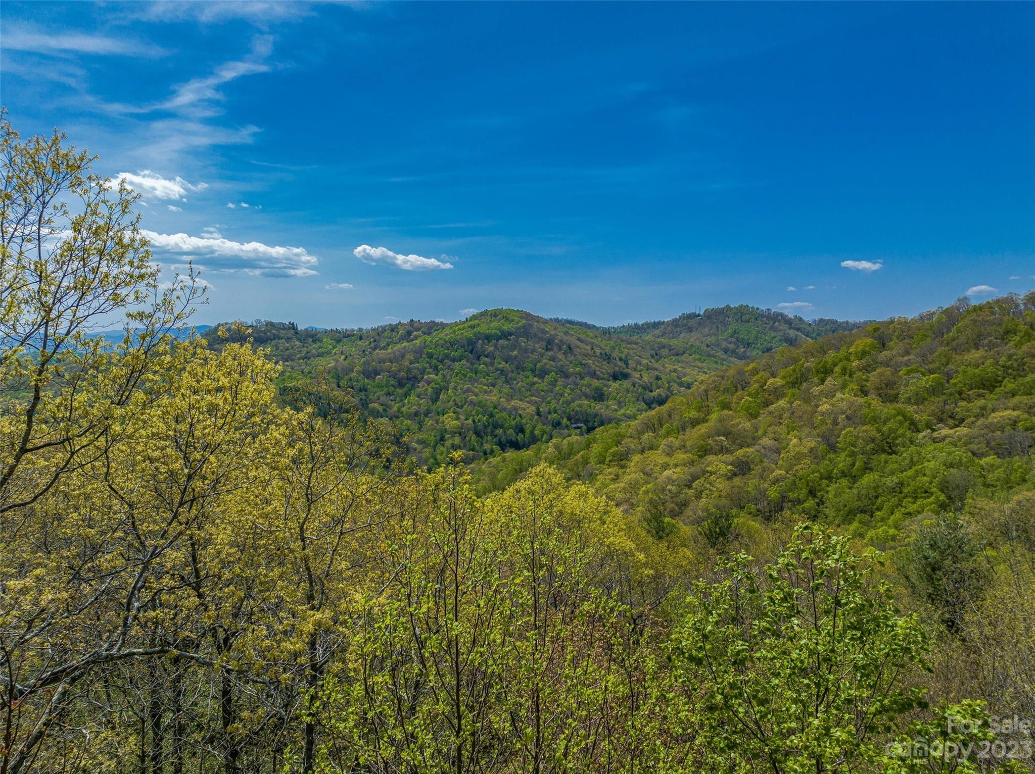 9999-2 Merrills Ridge Road Unit: 2