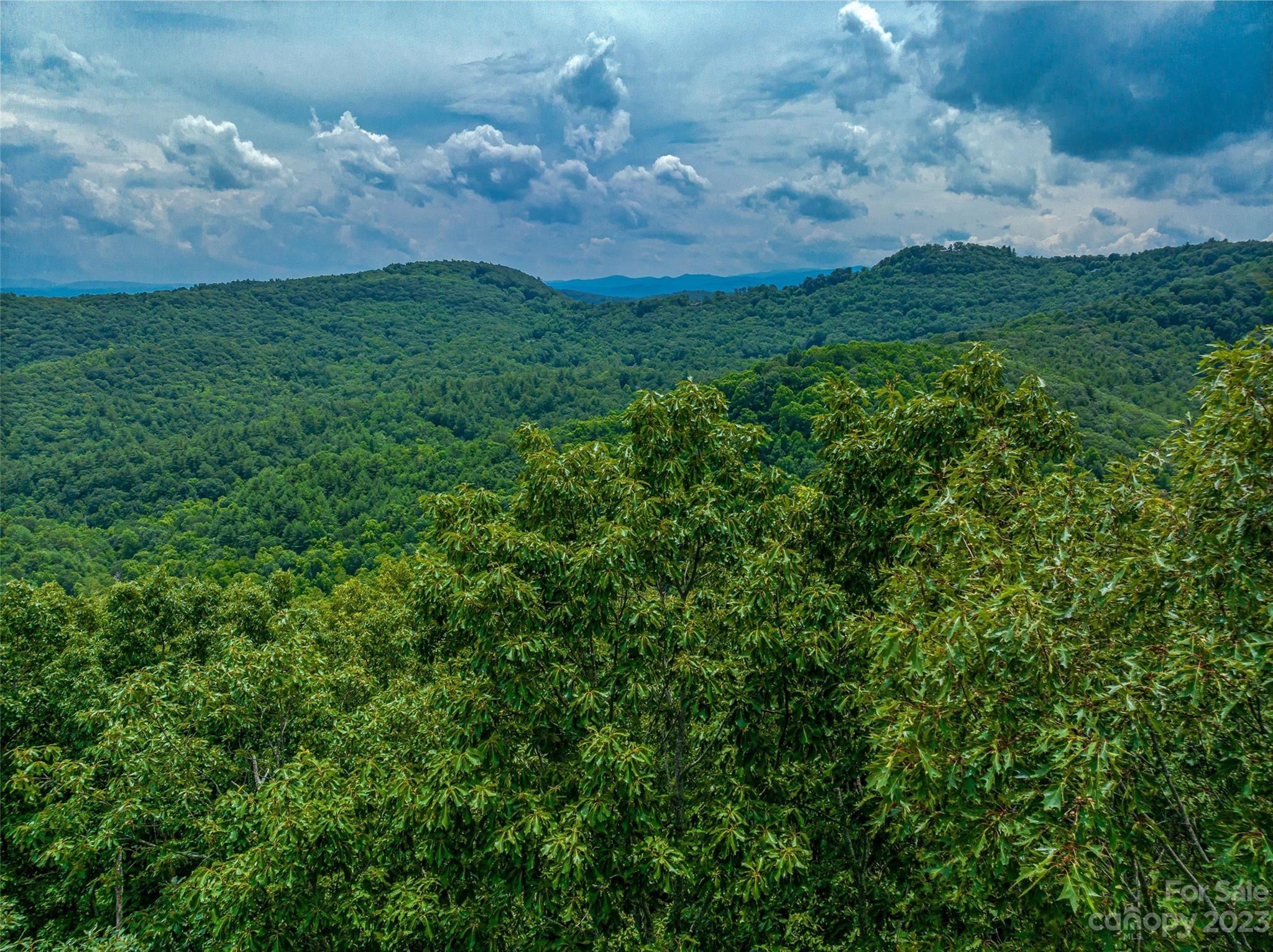 9999-2 Merrills Ridge Road Unit: 2