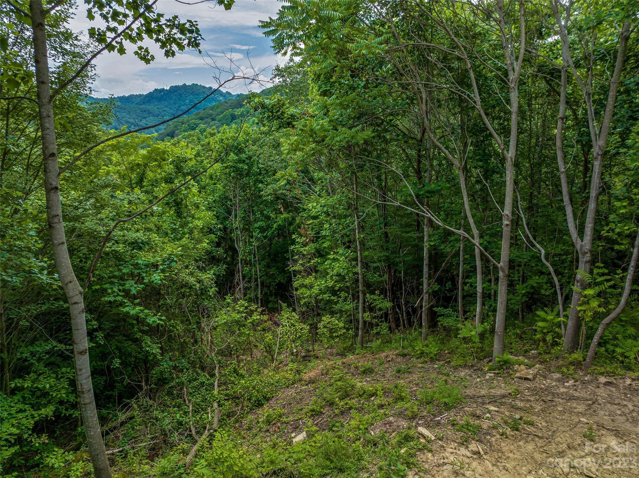 9999-2 Merrills Ridge Road Unit: 2