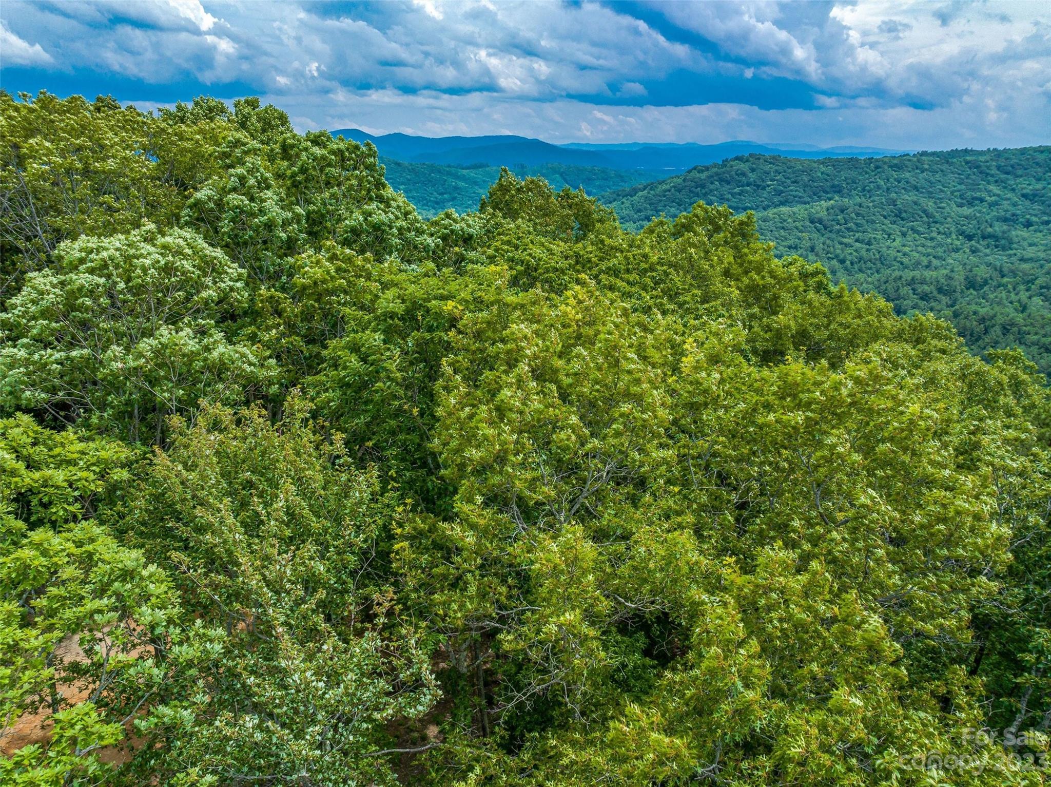 9999-2 Merrills Ridge Road Unit: 2