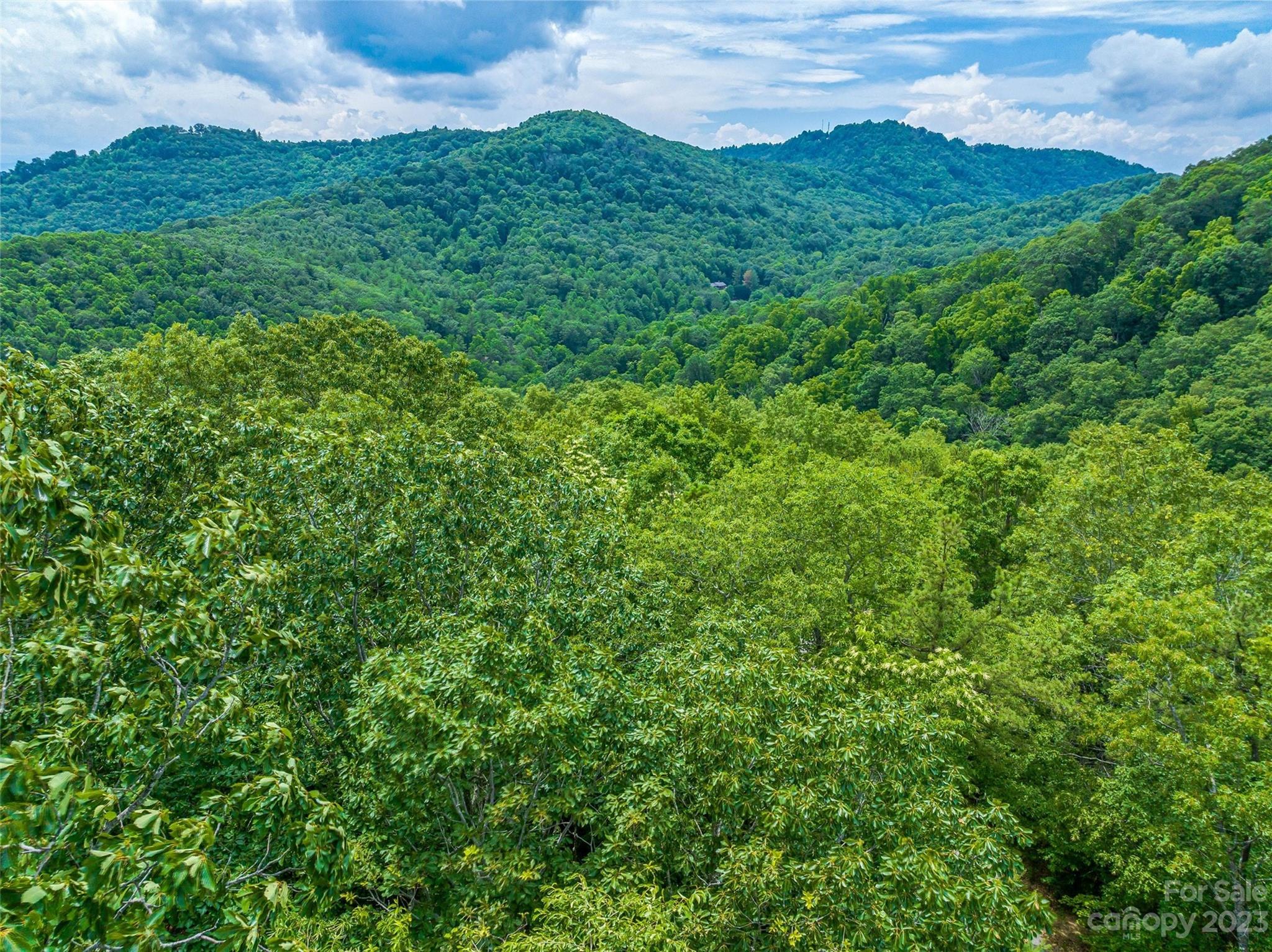 9999-2 Merrills Ridge Road Unit: 2