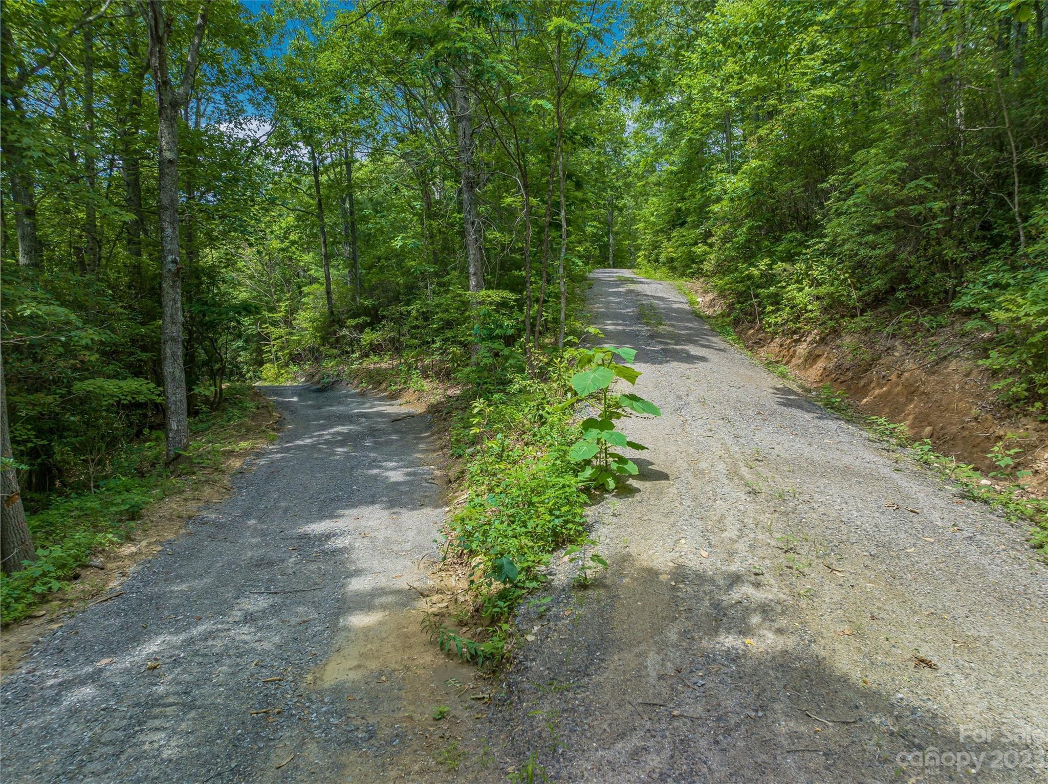 9999-2 Merrills Ridge Road Unit: 2