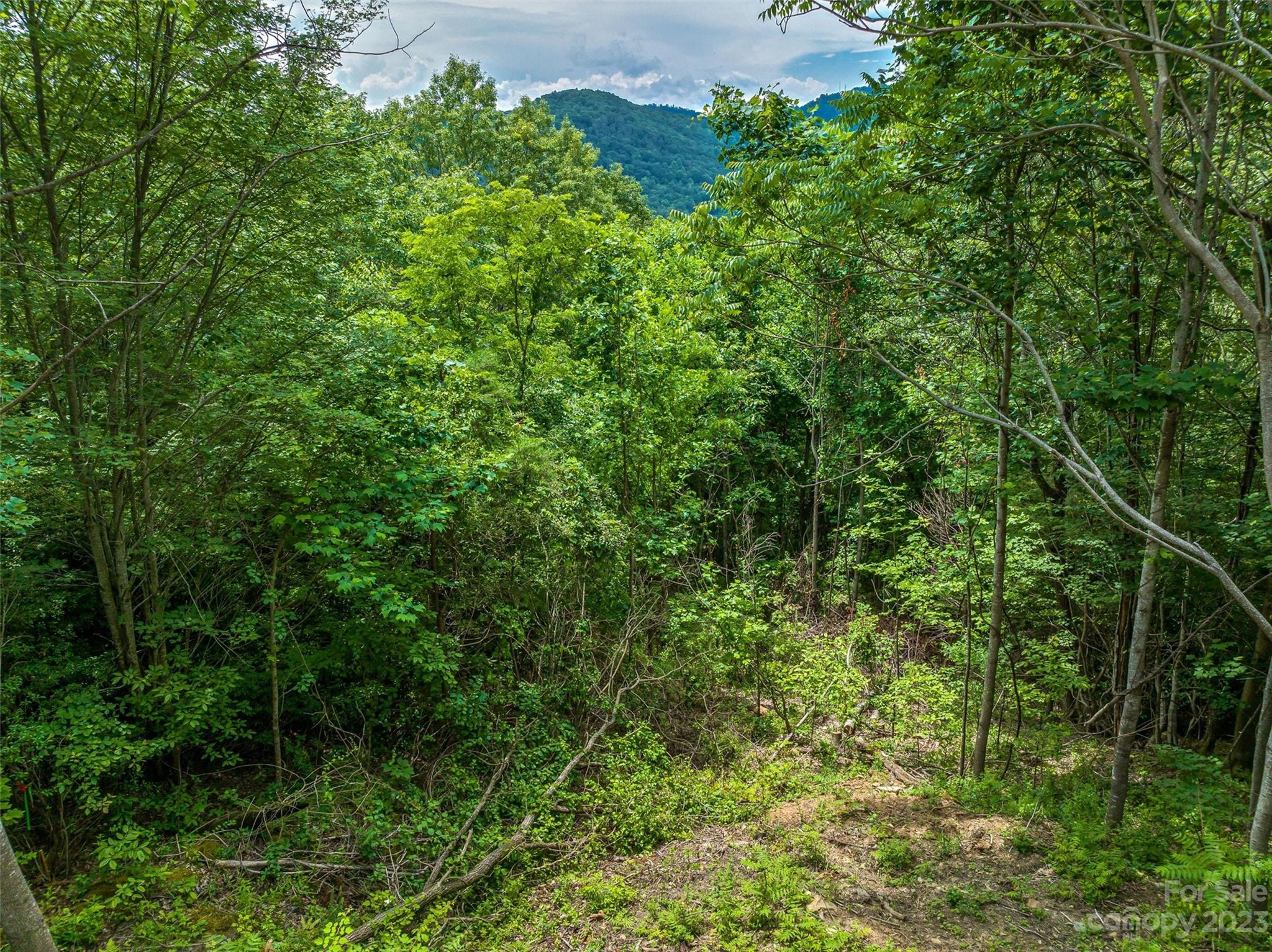 9999-2 Merrills Ridge Road Unit: 2