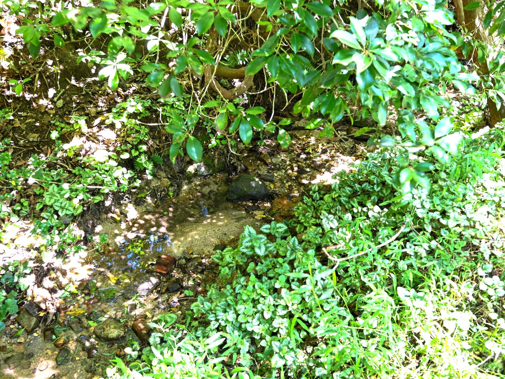 131 Brightwater Heights Drive