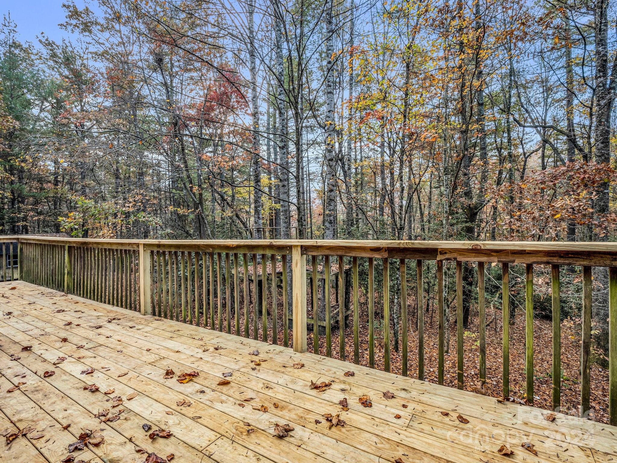 52 The Old Buggy Road