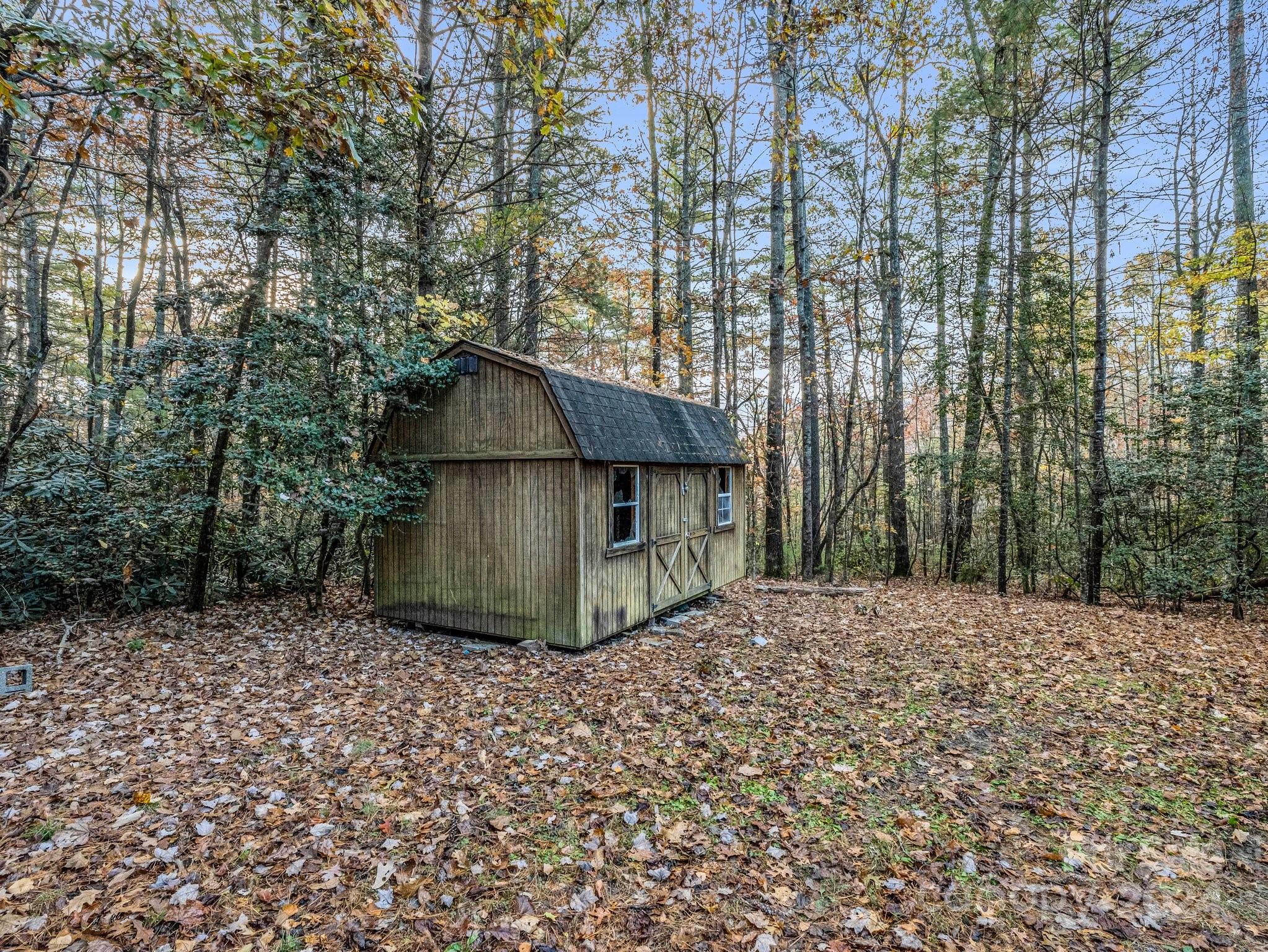 52 The Old Buggy Road