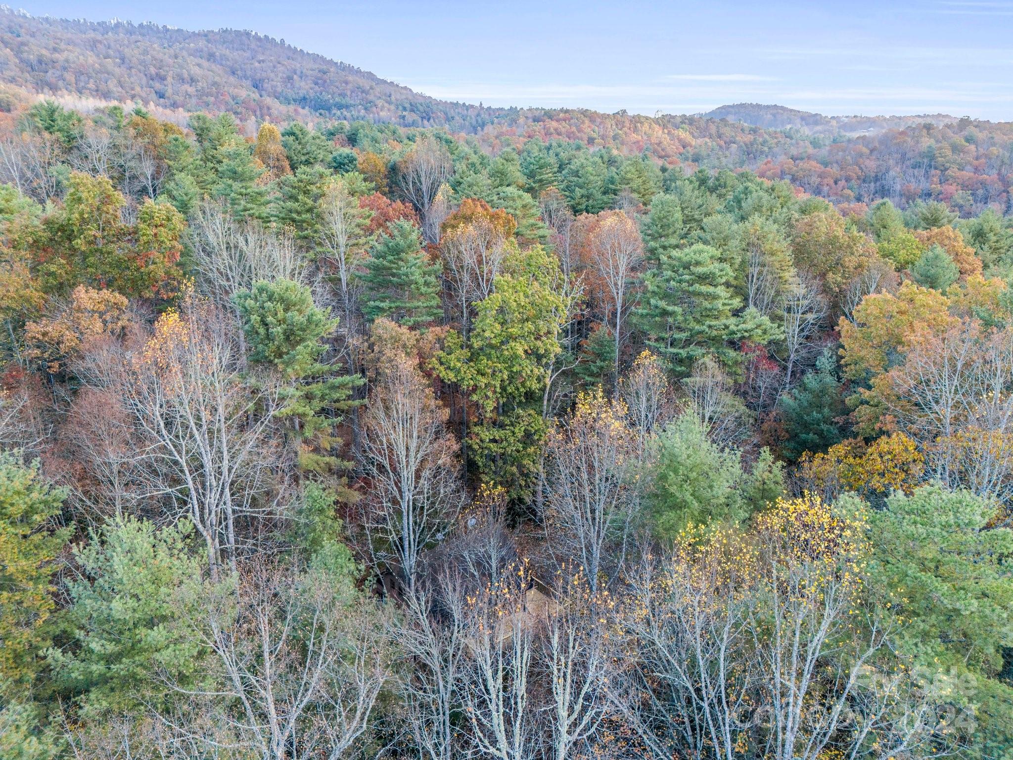 52 The Old Buggy Road