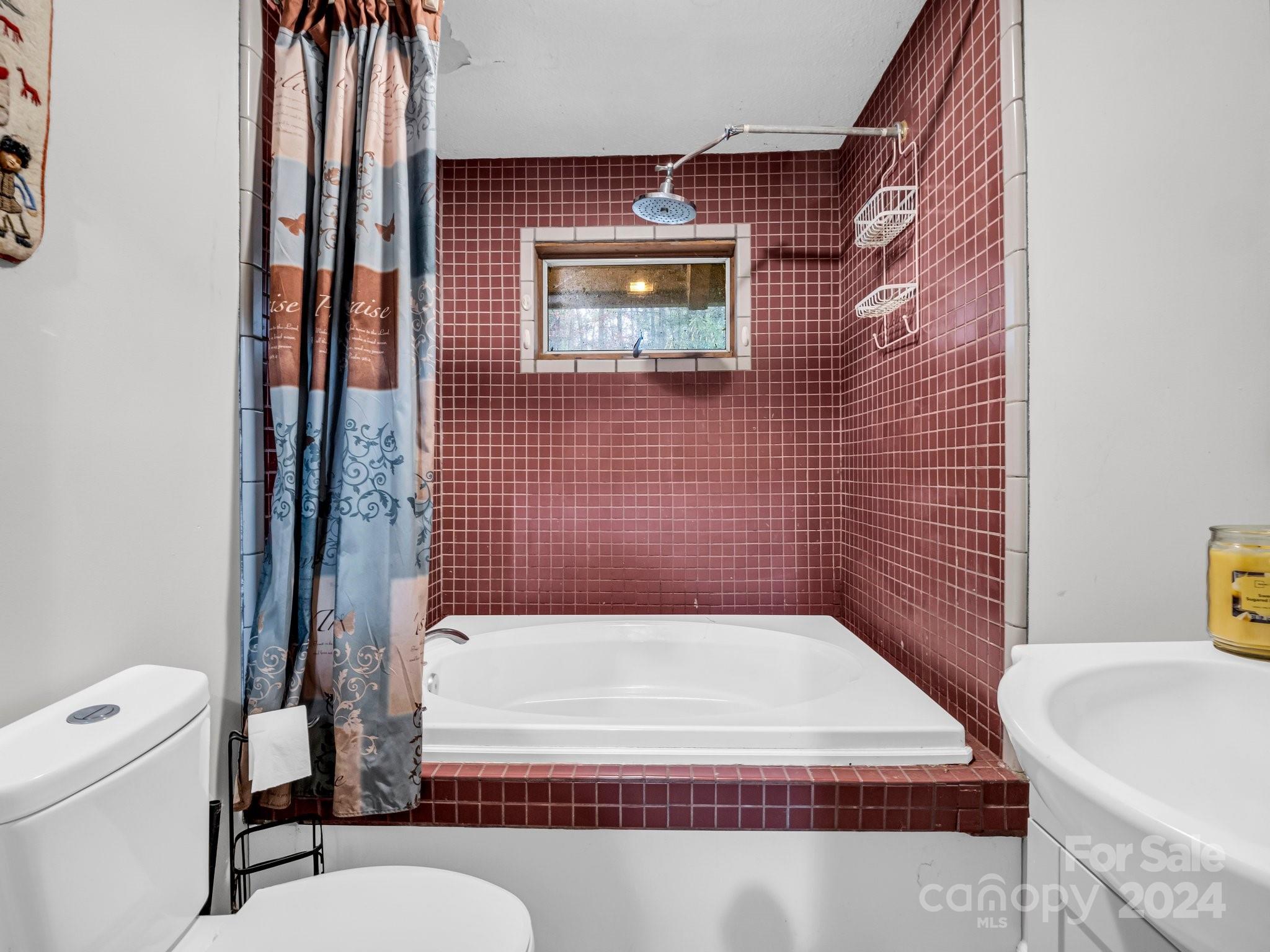 52 The Old Buggy Road