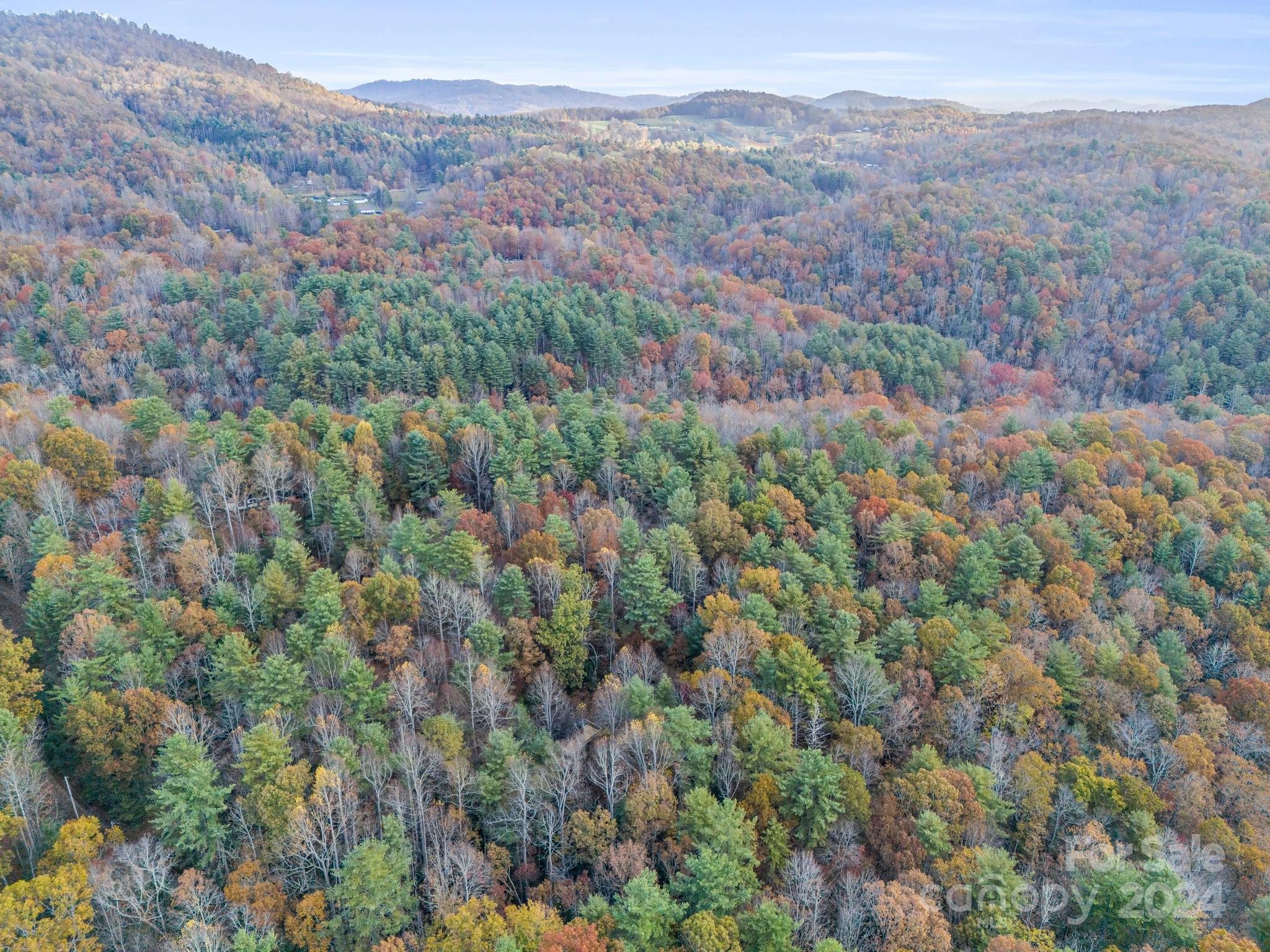 52 The Old Buggy Road