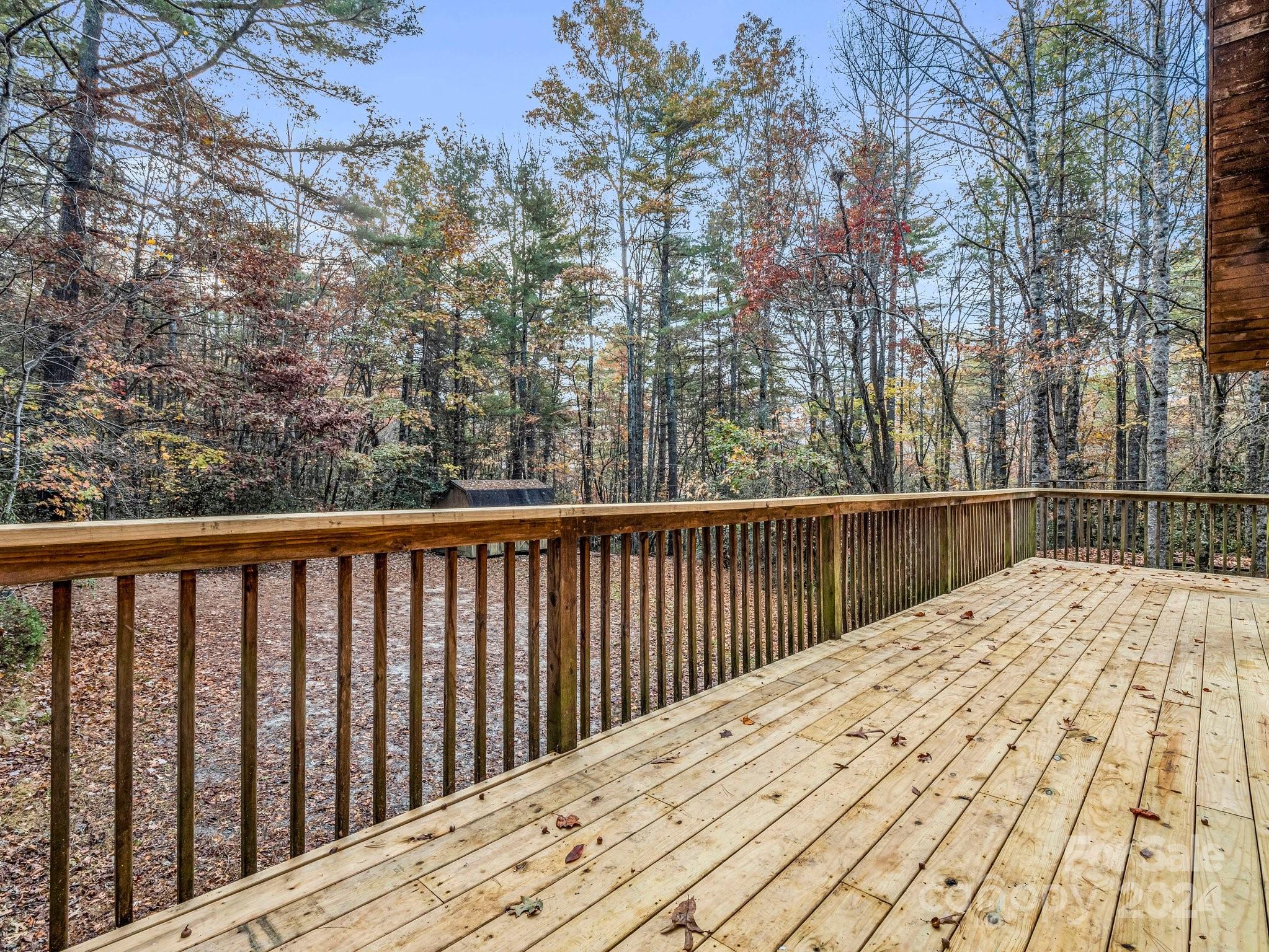 52 The Old Buggy Road